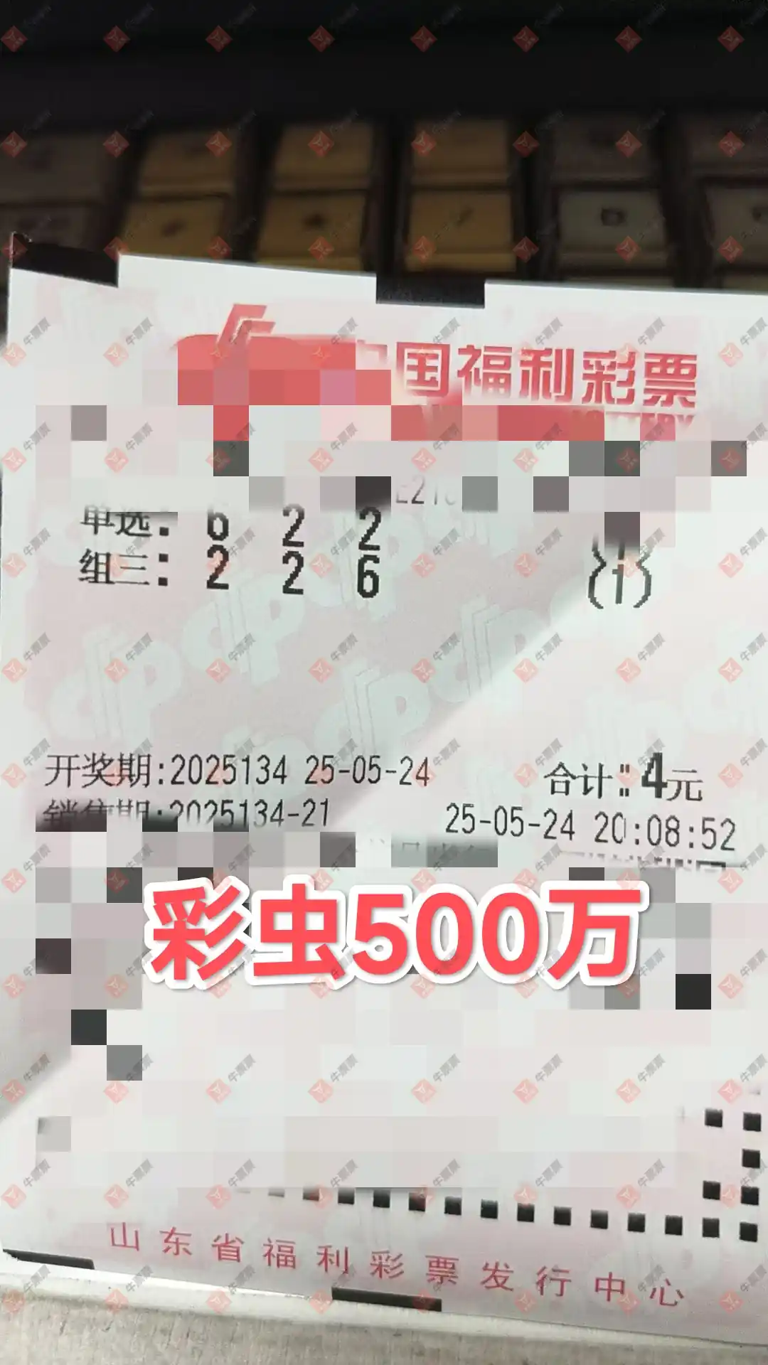 牛票票