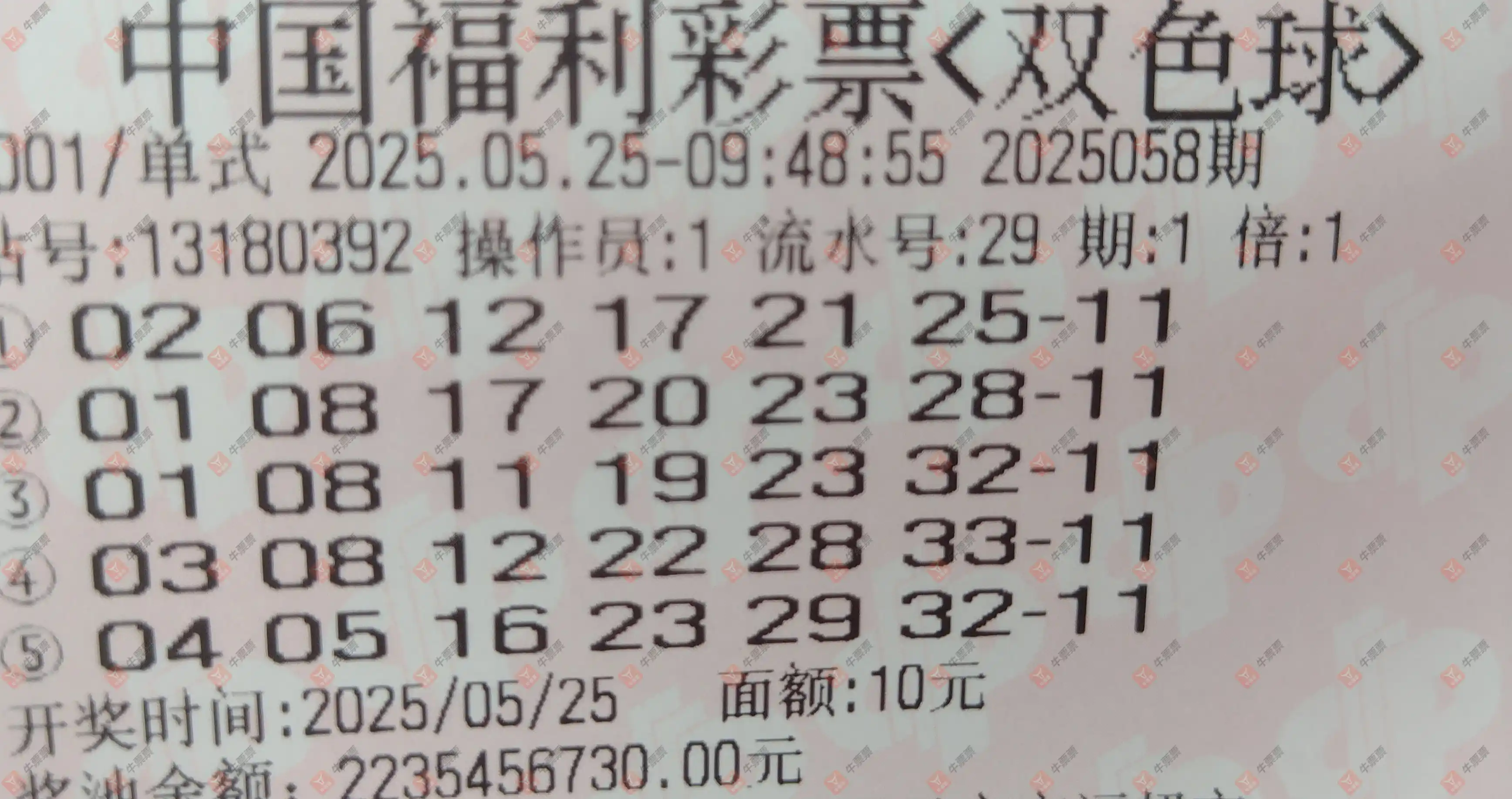 牛票票