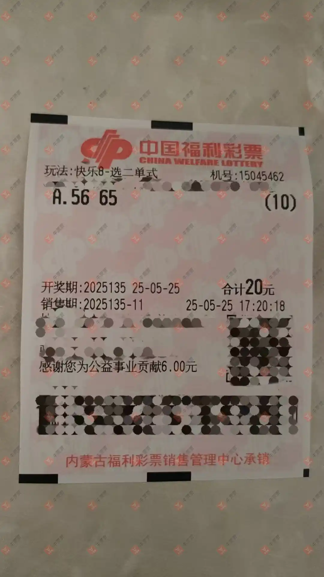 牛票票