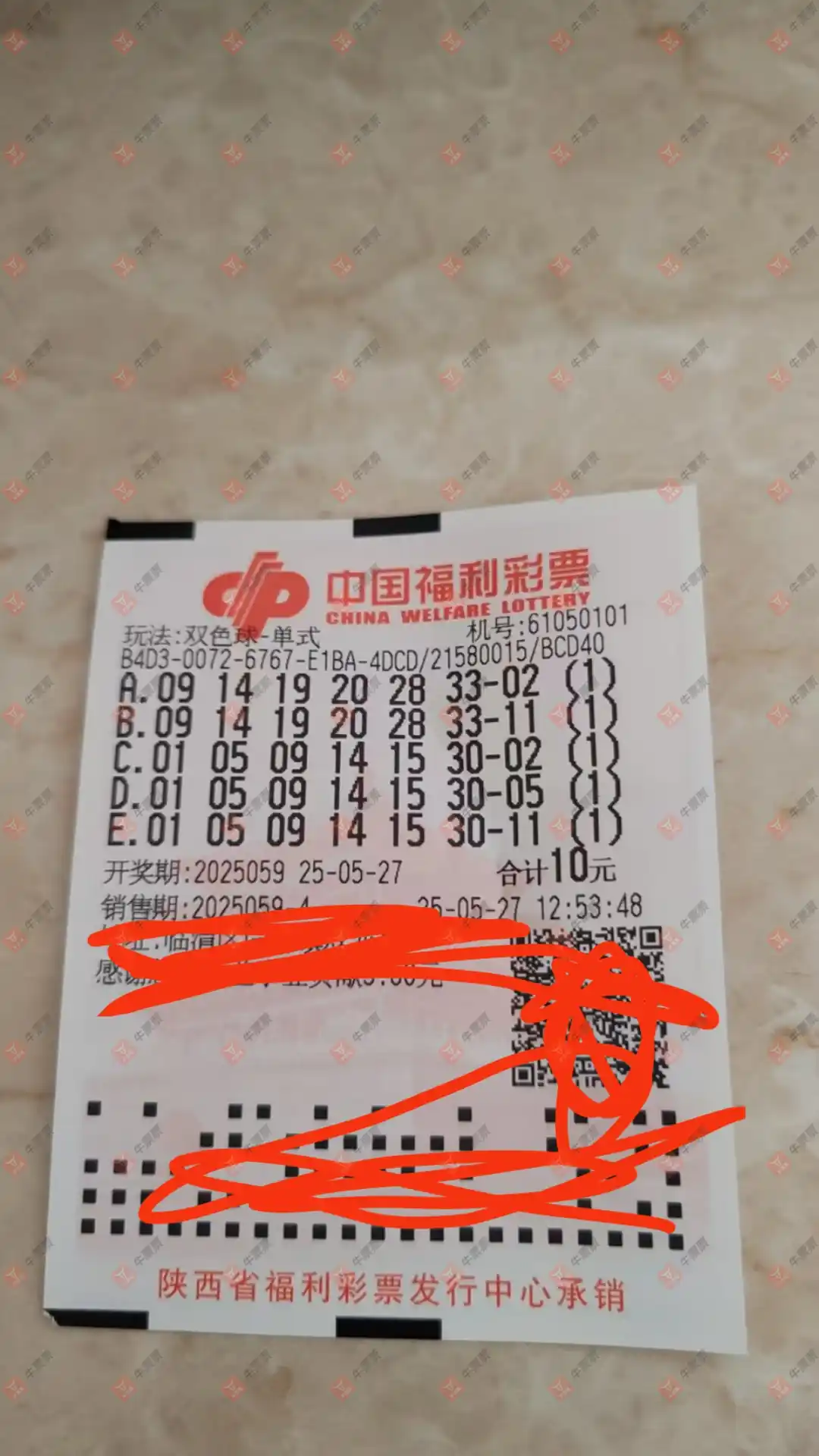 牛票票