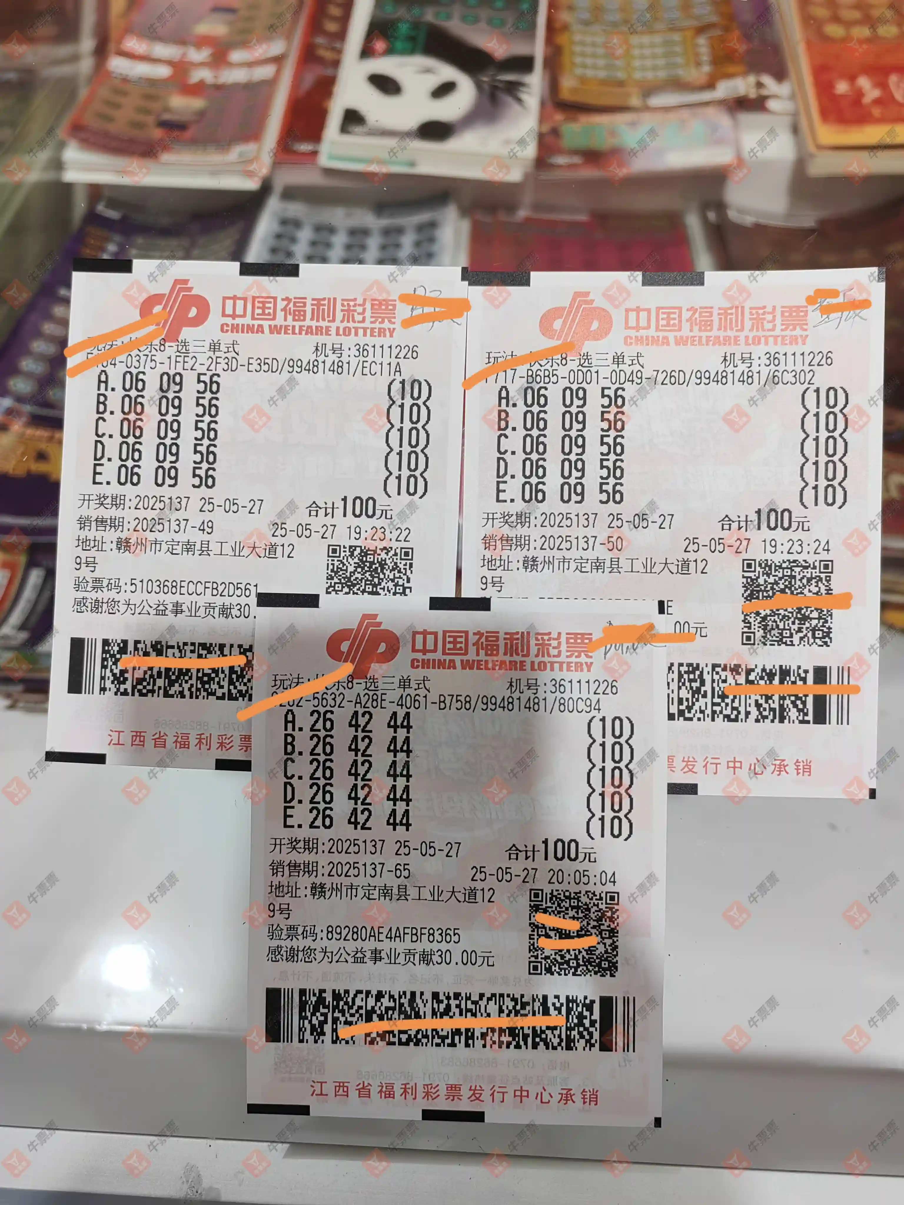 牛票票