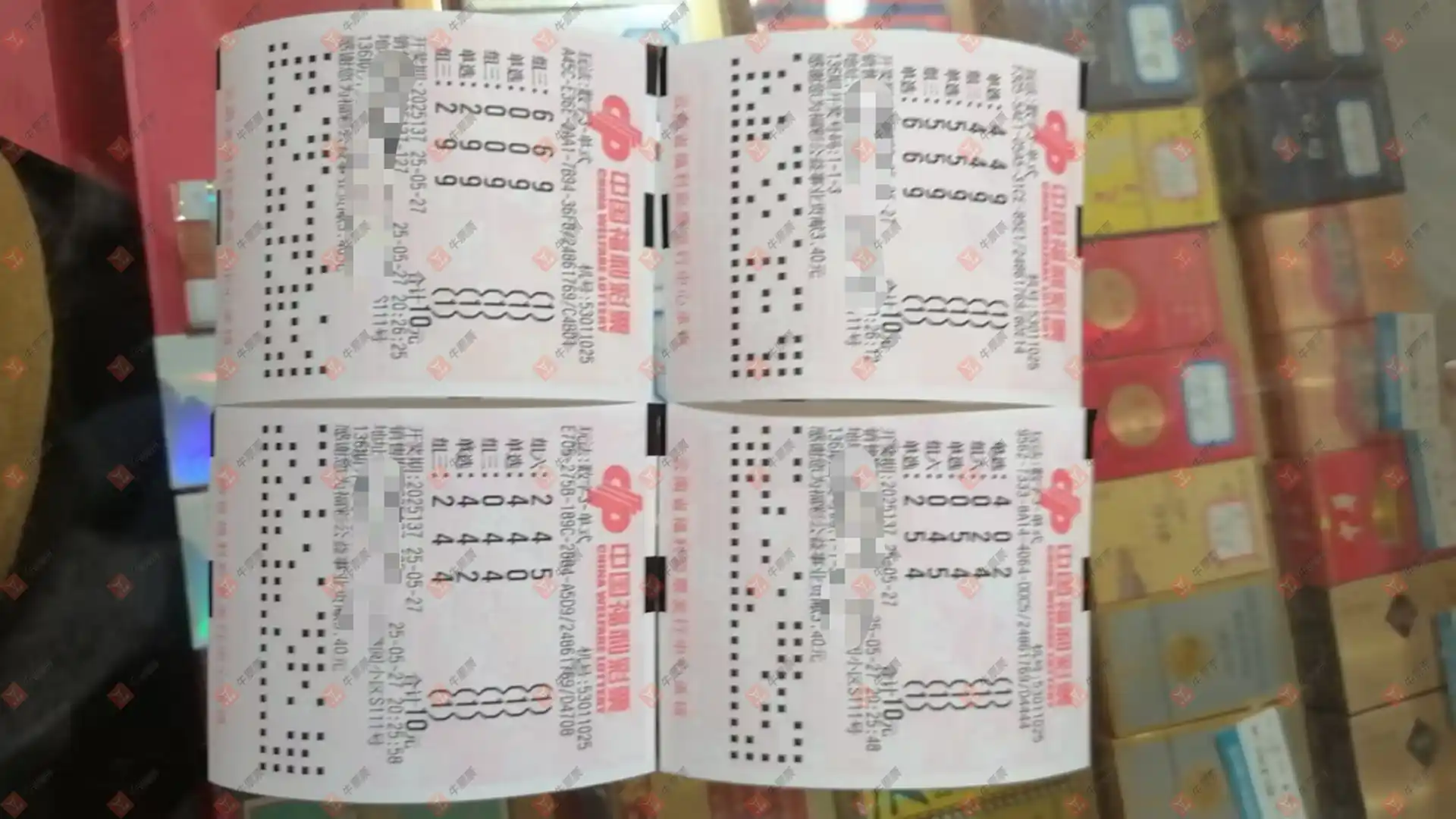 牛票票