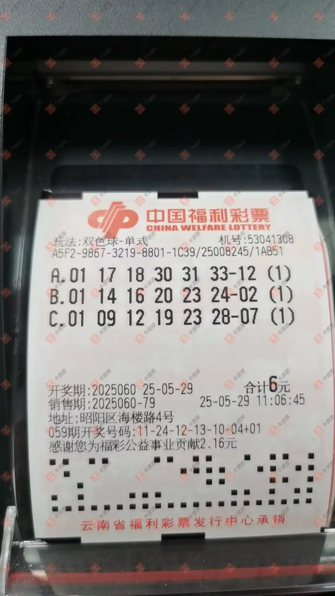 牛票票