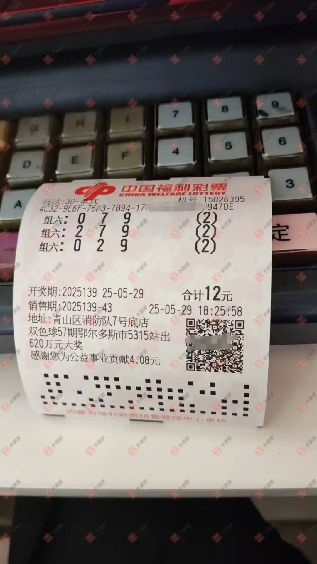 牛票票