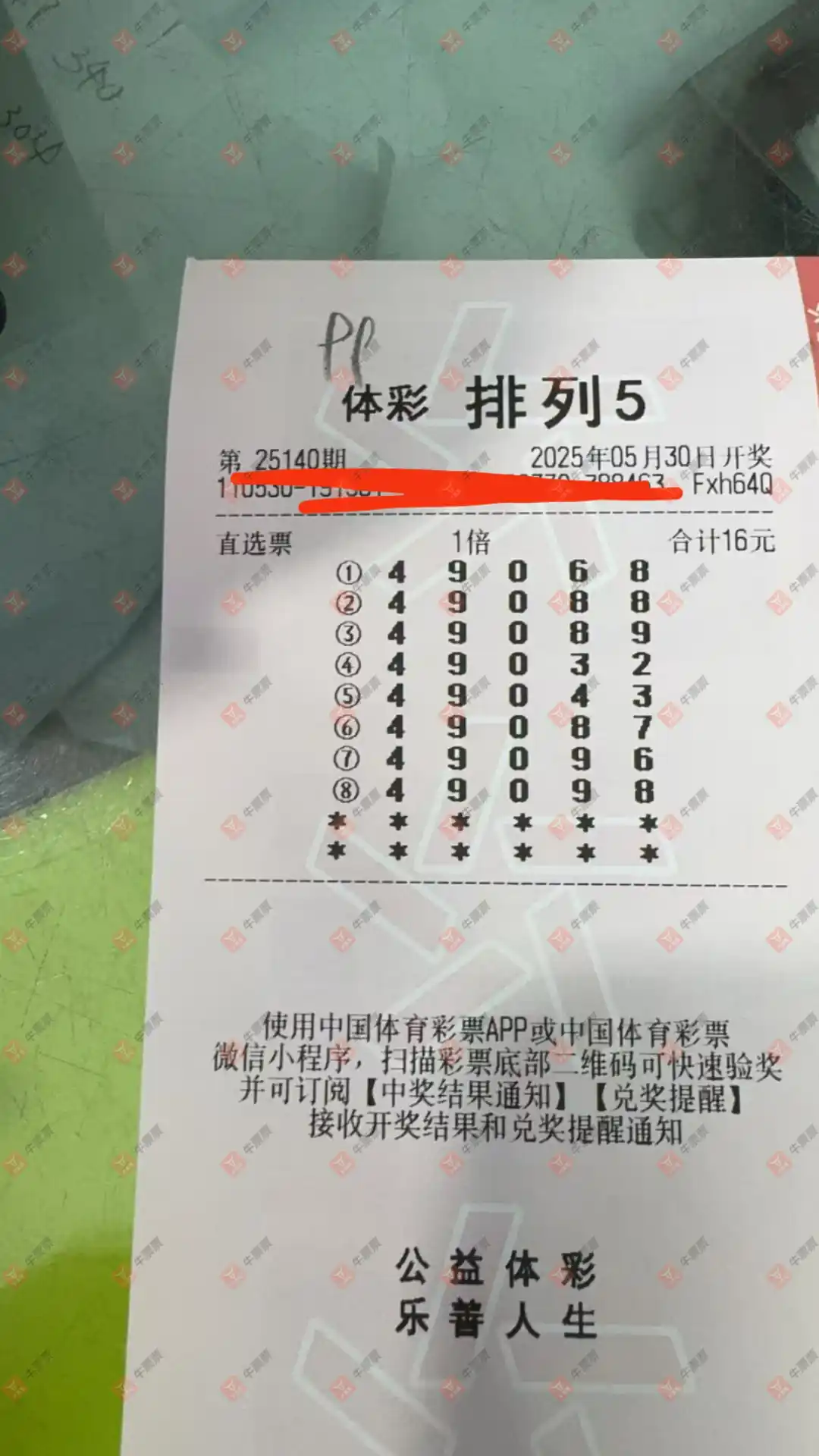 牛票票