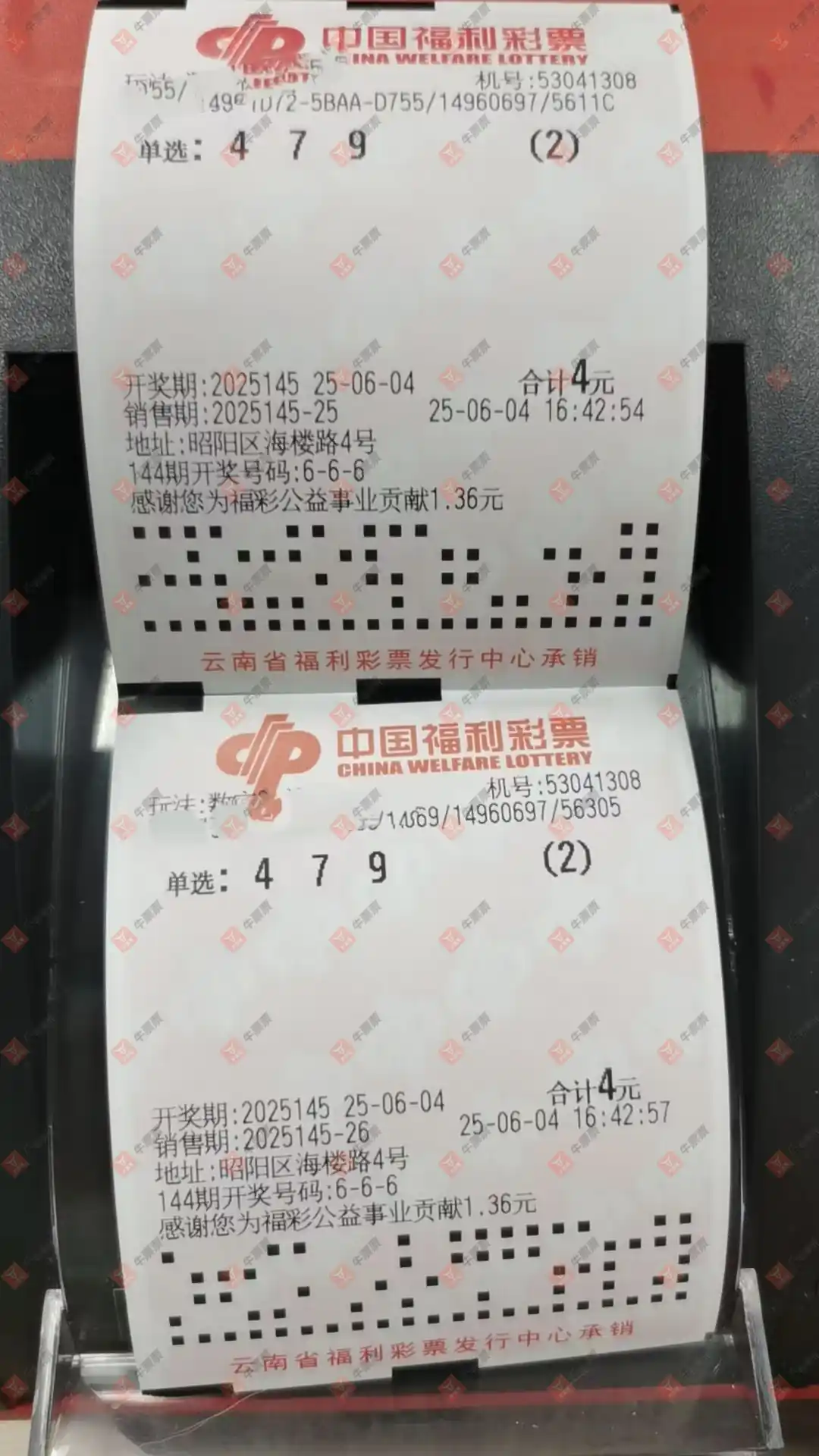 牛票票