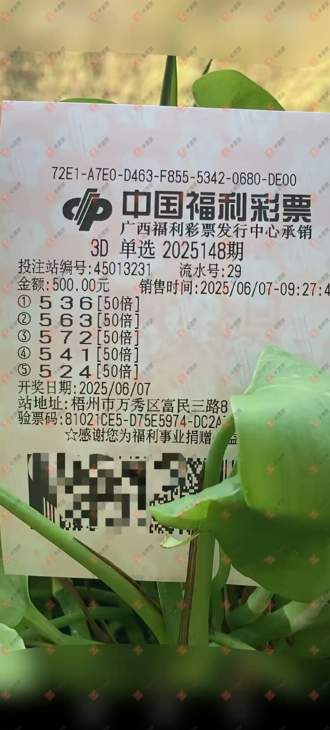 牛票票
