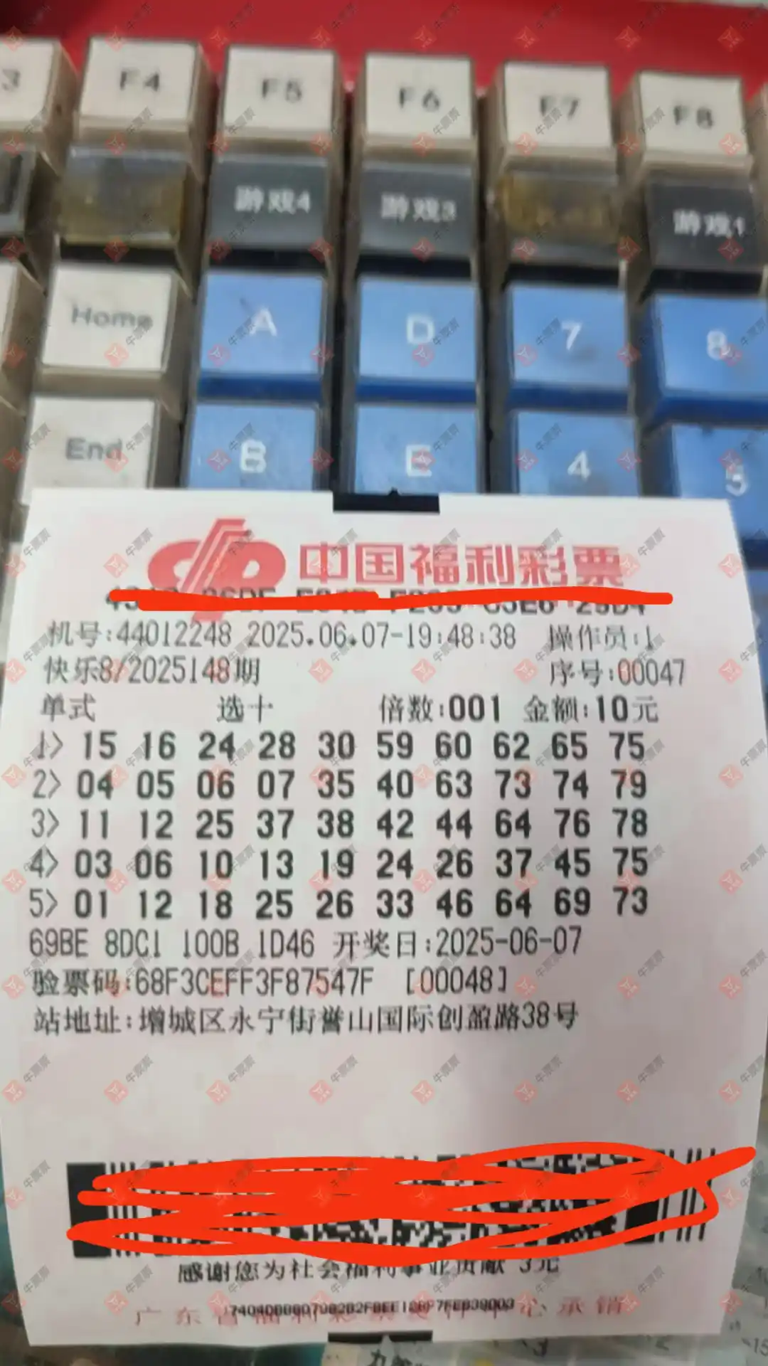 牛票票