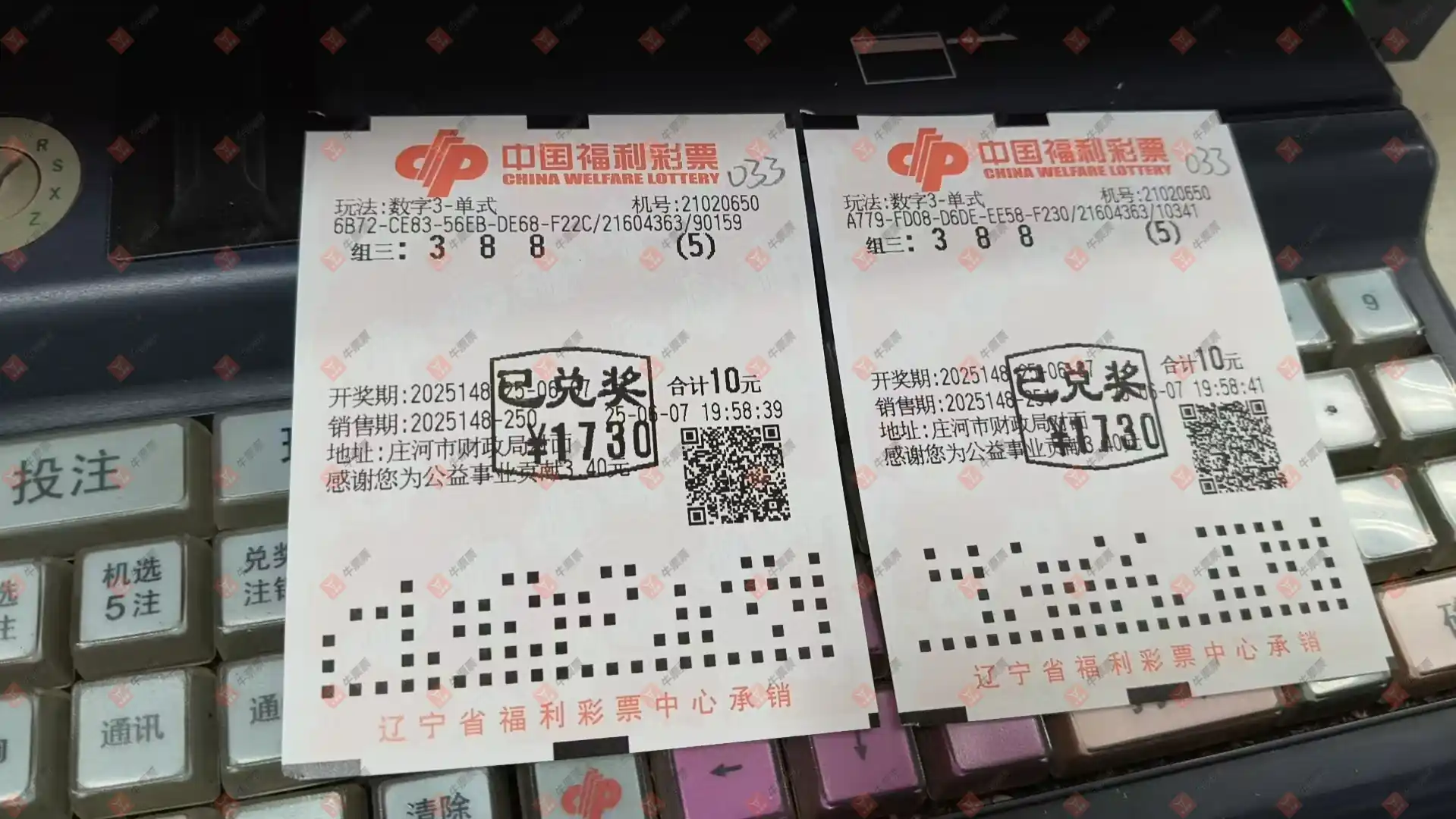 牛票票
