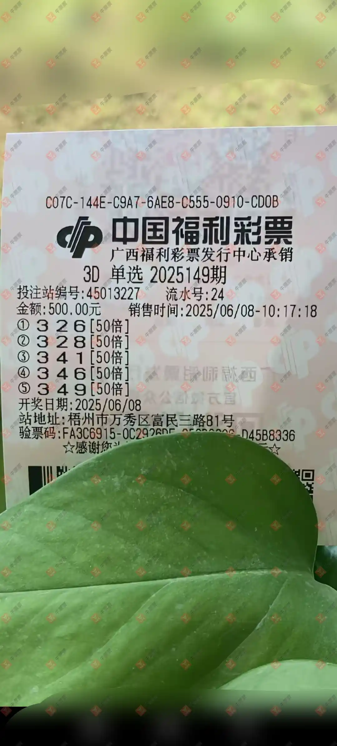 牛票票