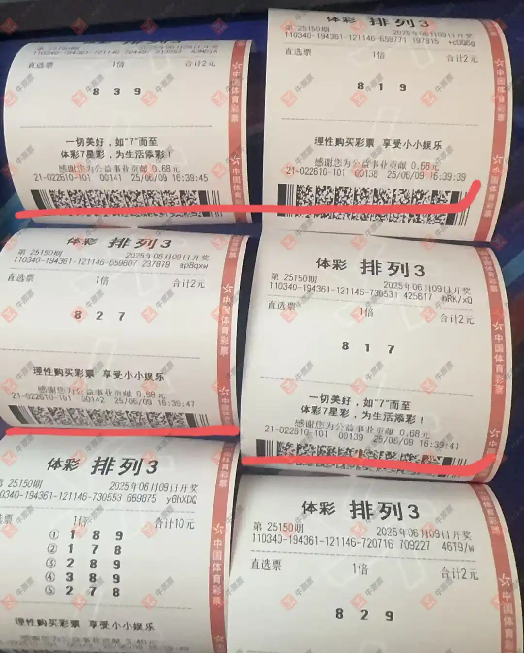 牛票票