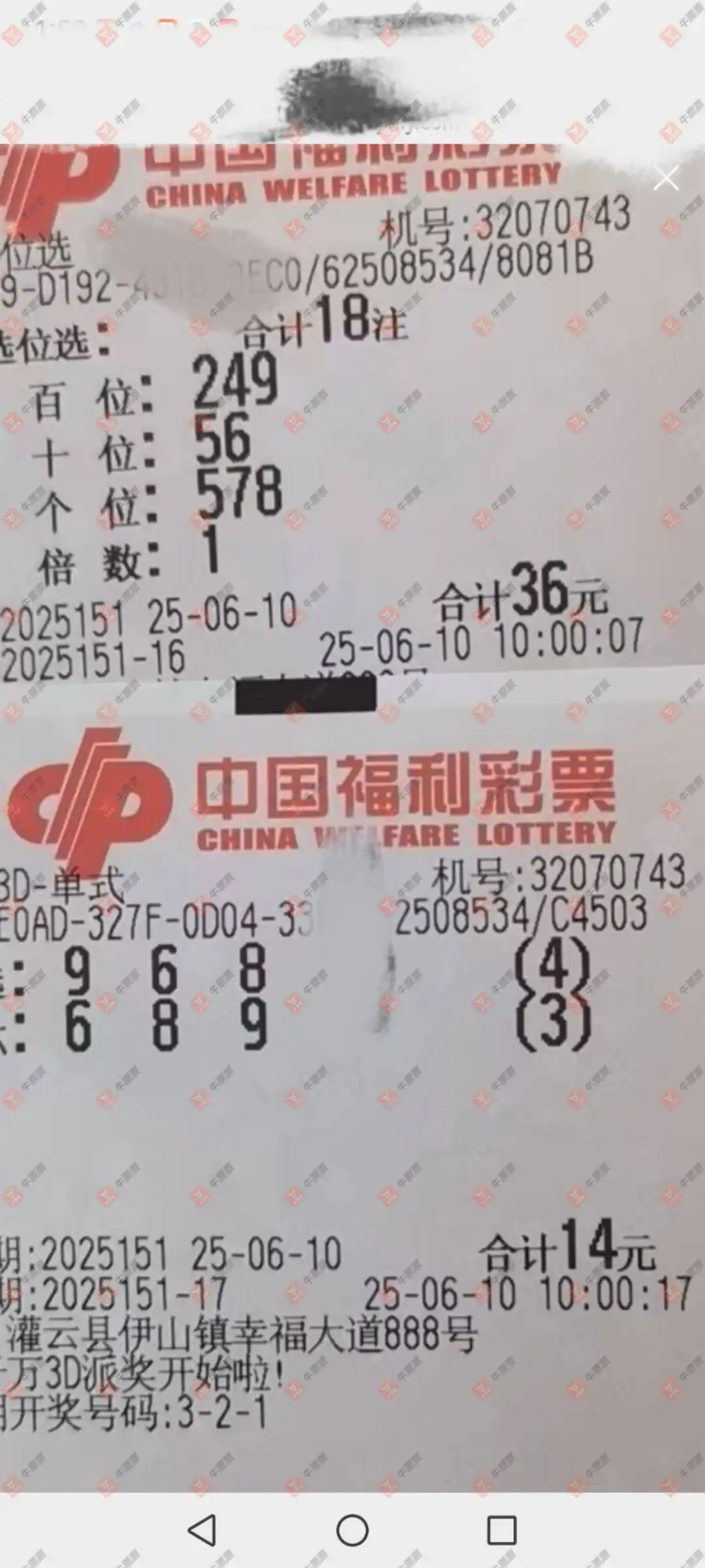 牛票票