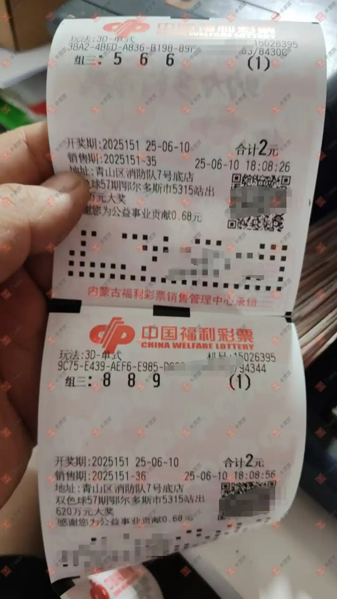 牛票票