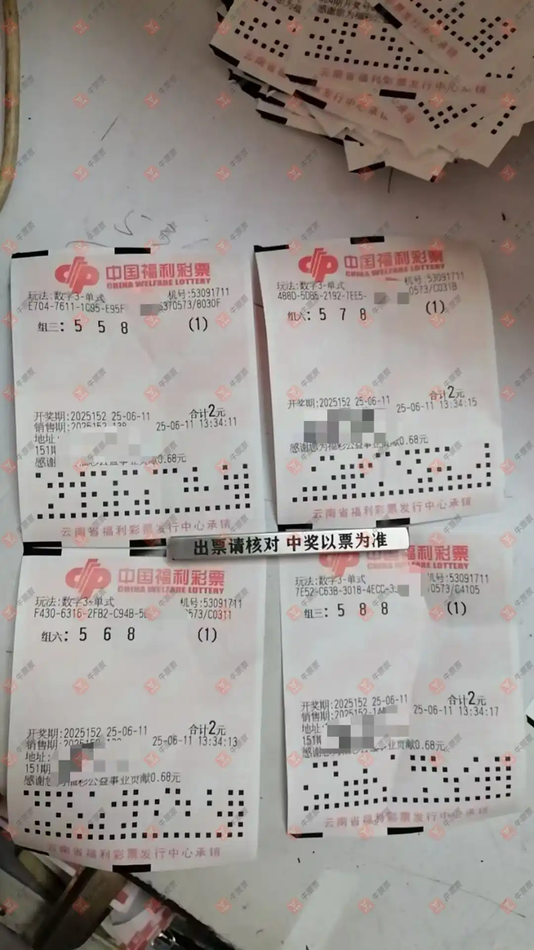 牛票票
