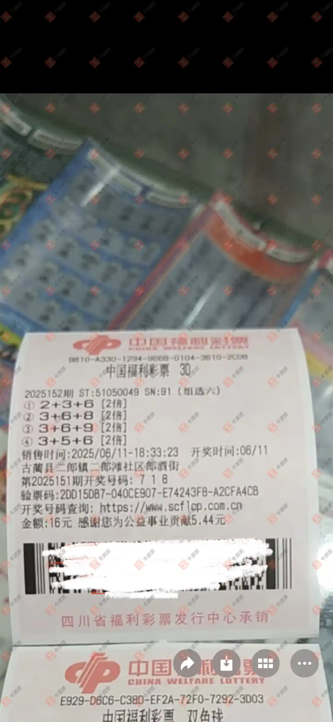 牛票票