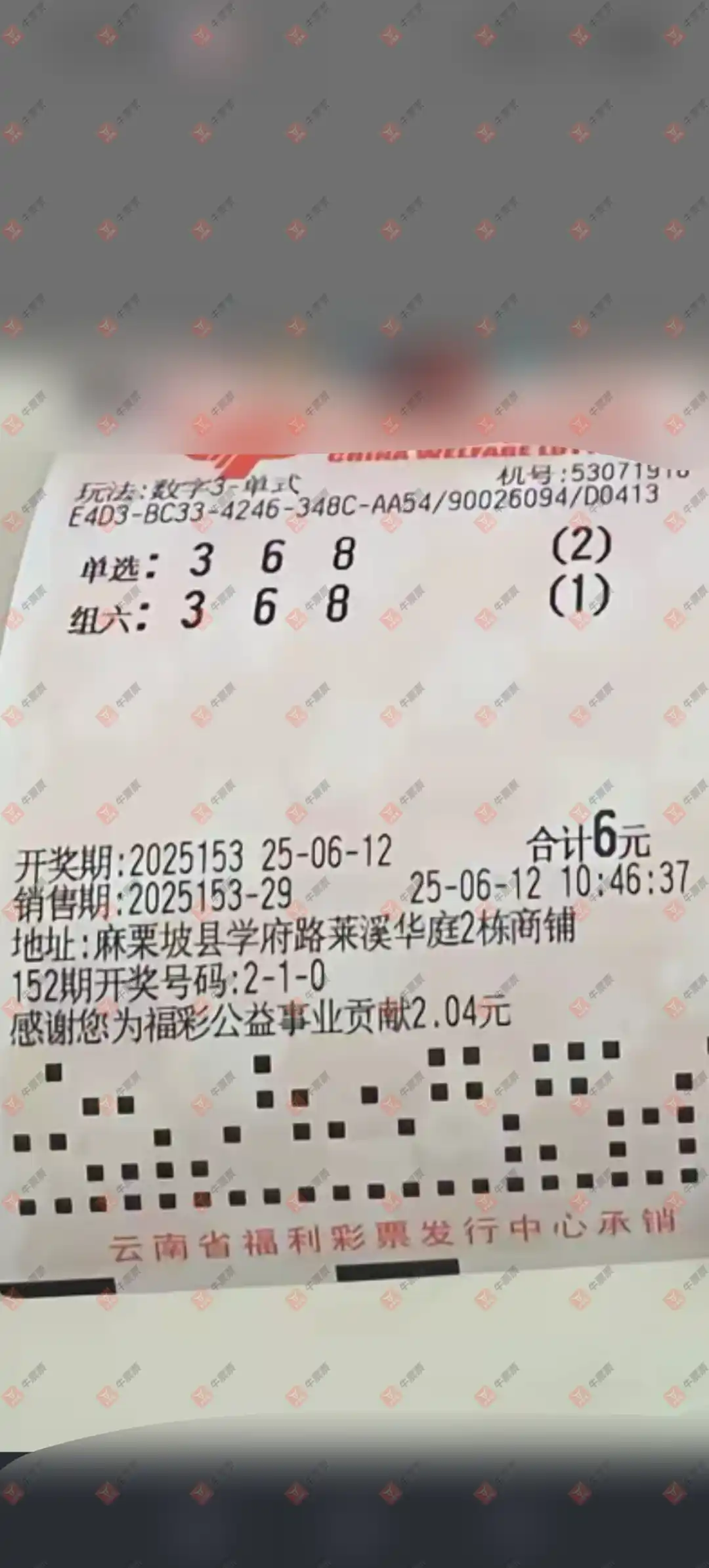 牛票票