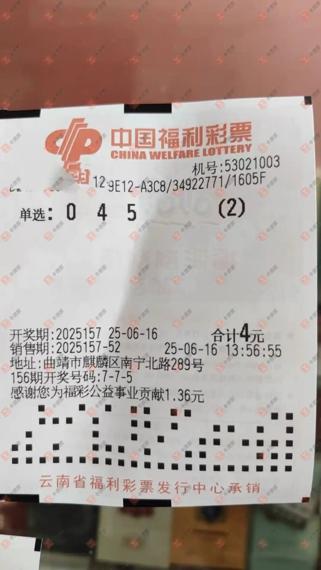 牛票票