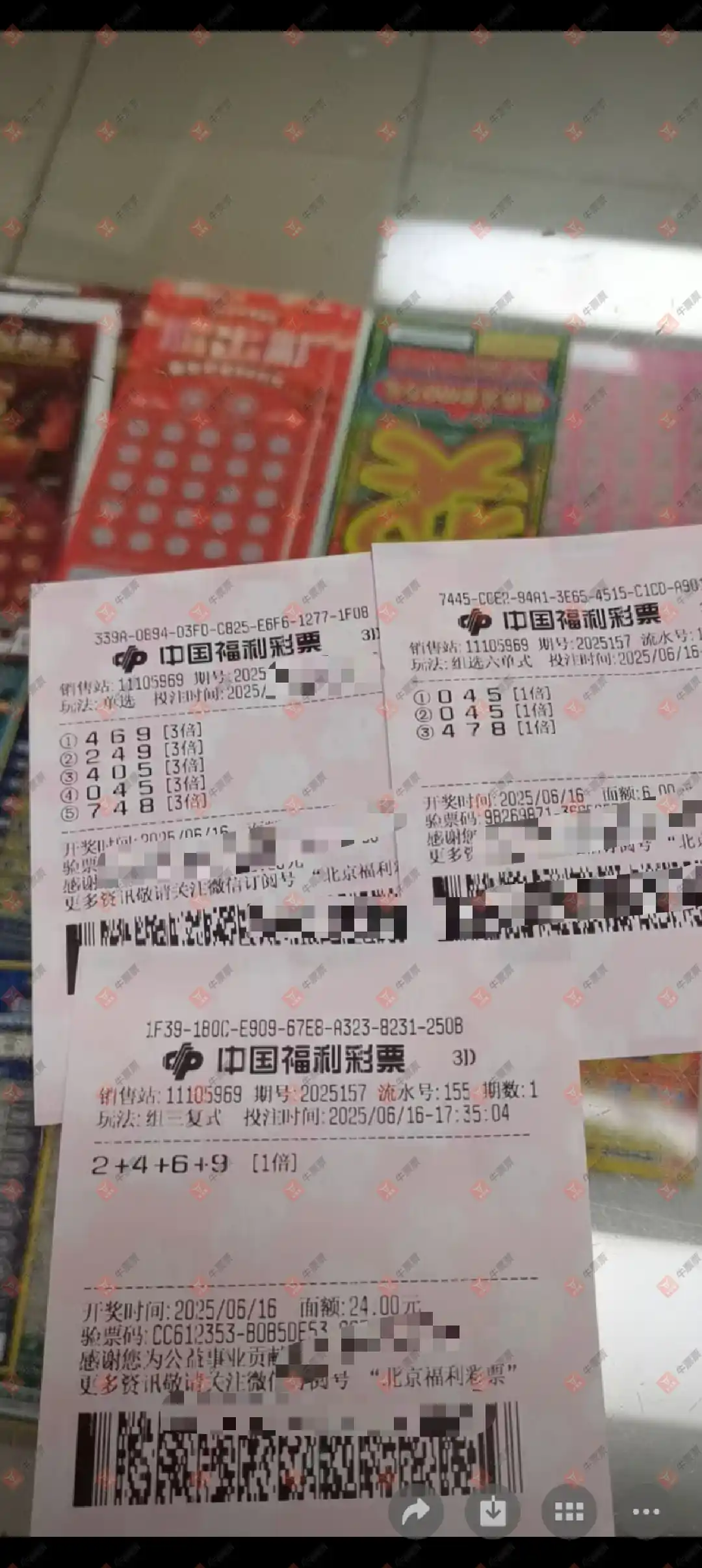 牛票票