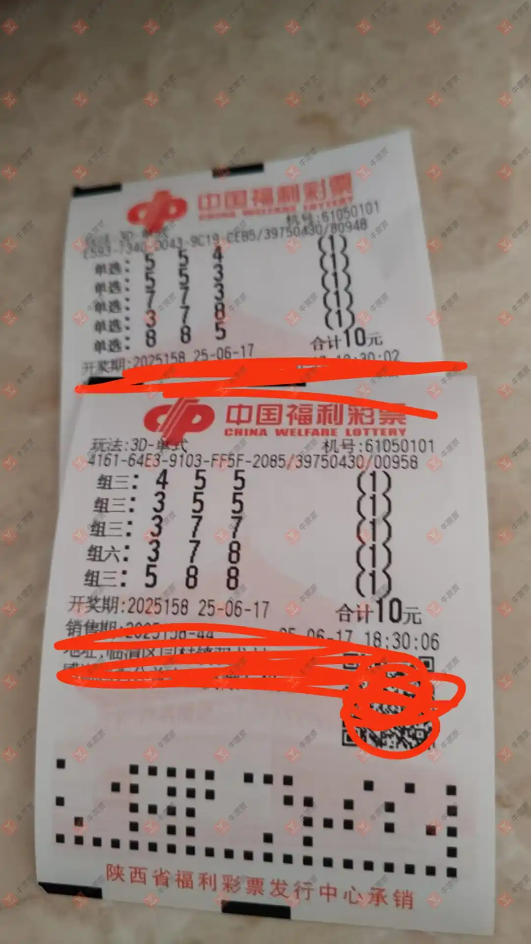 牛票票