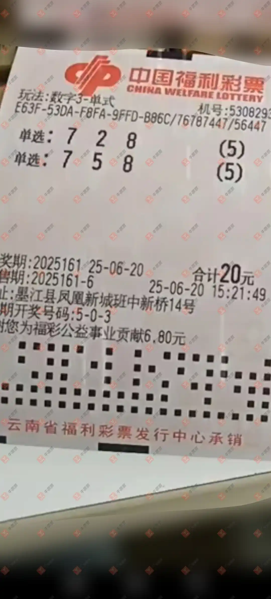 牛票票