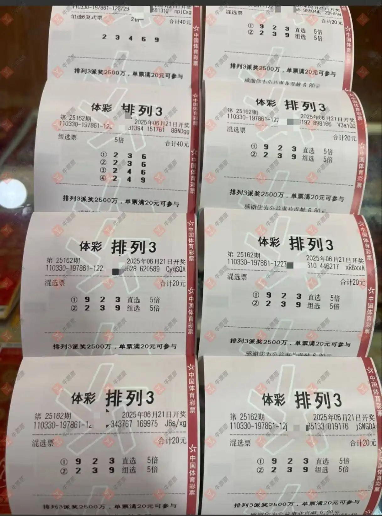 牛票票
