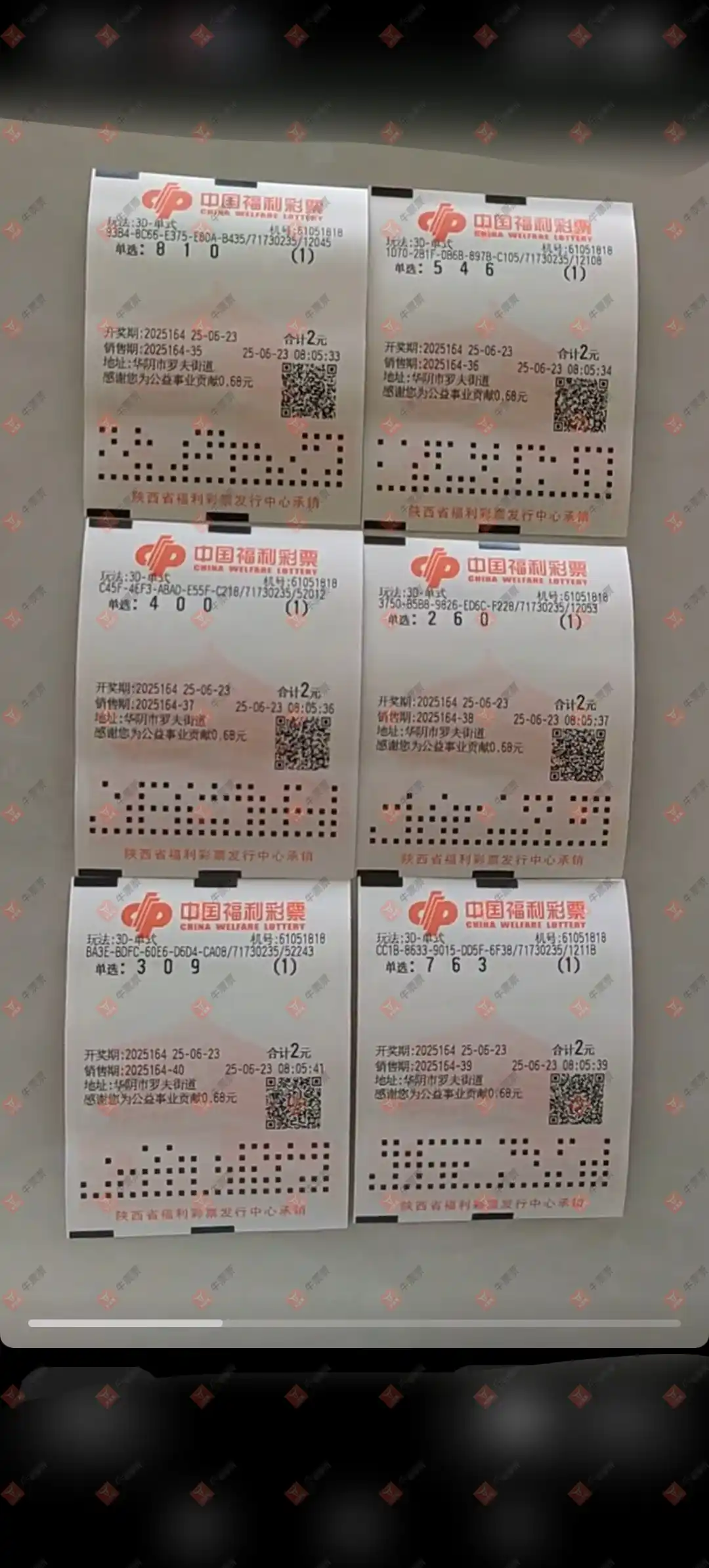 牛票票