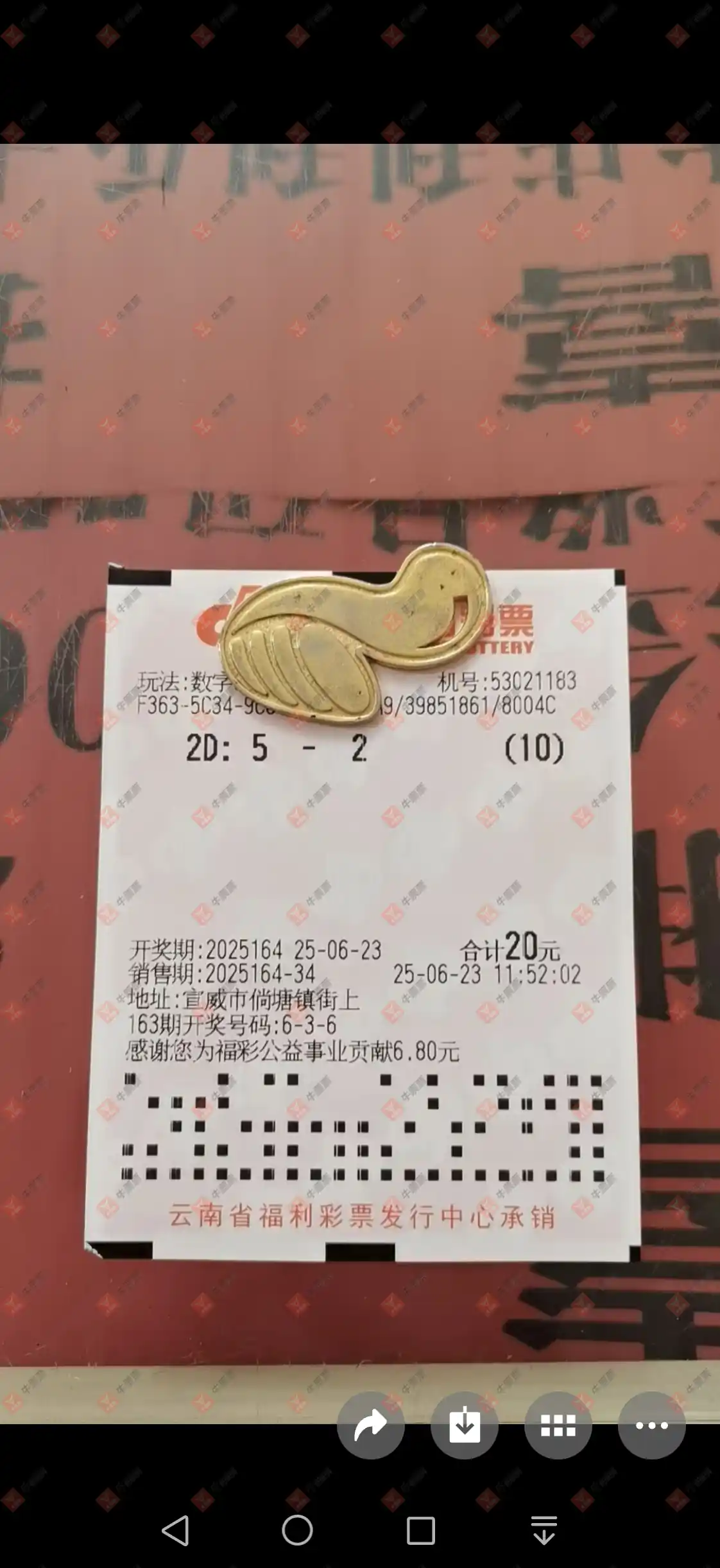 牛票票