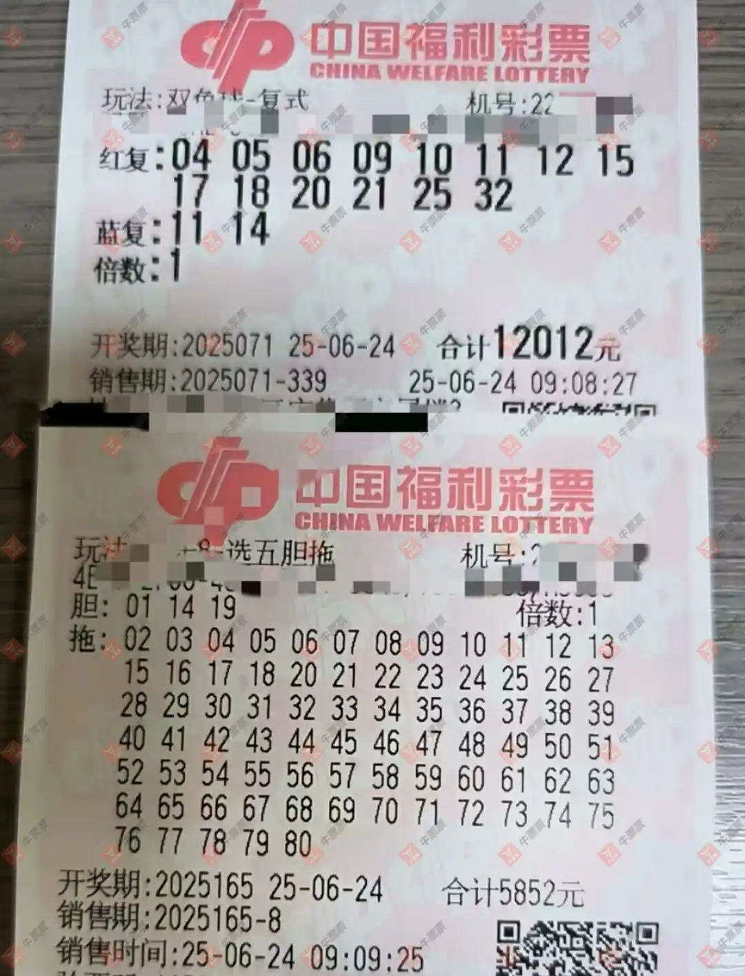 牛票票
