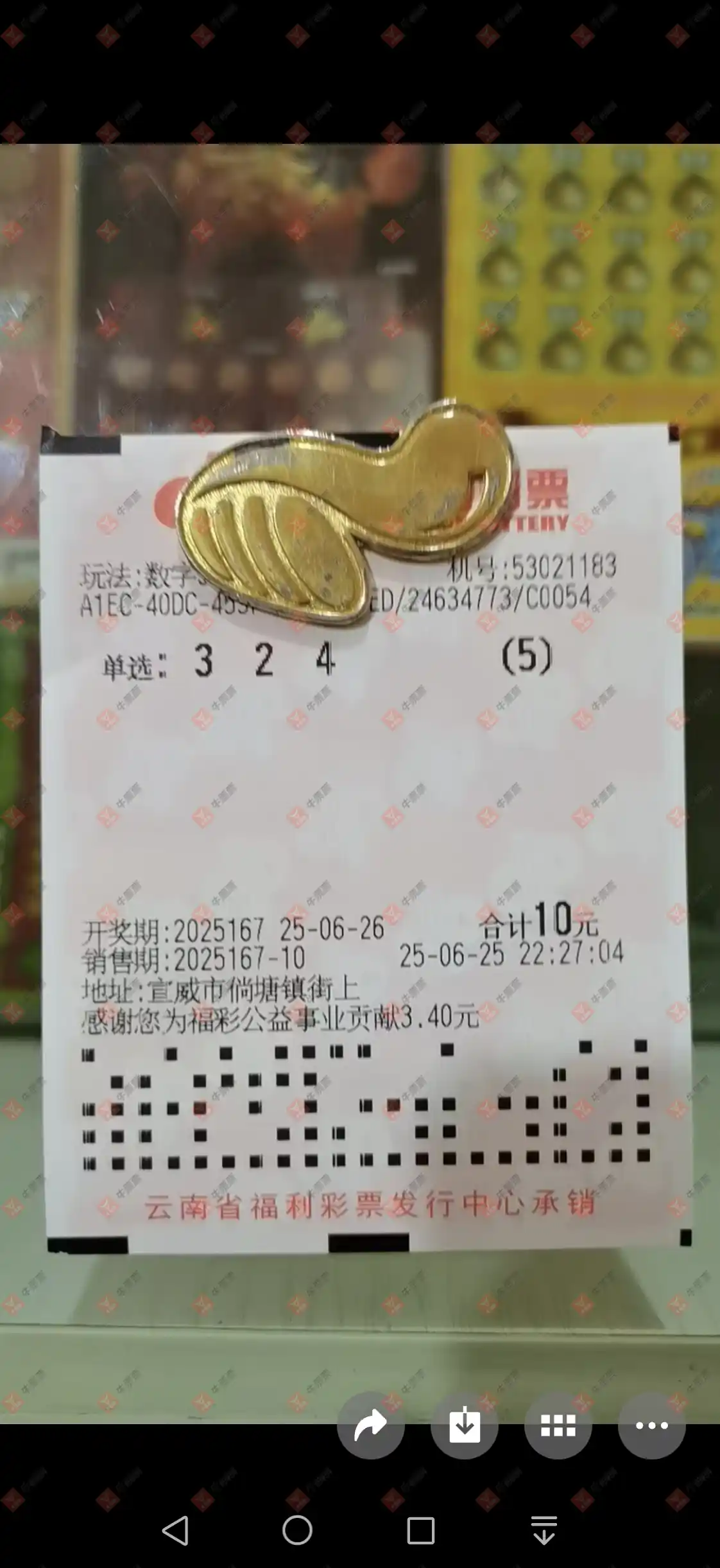 牛票票