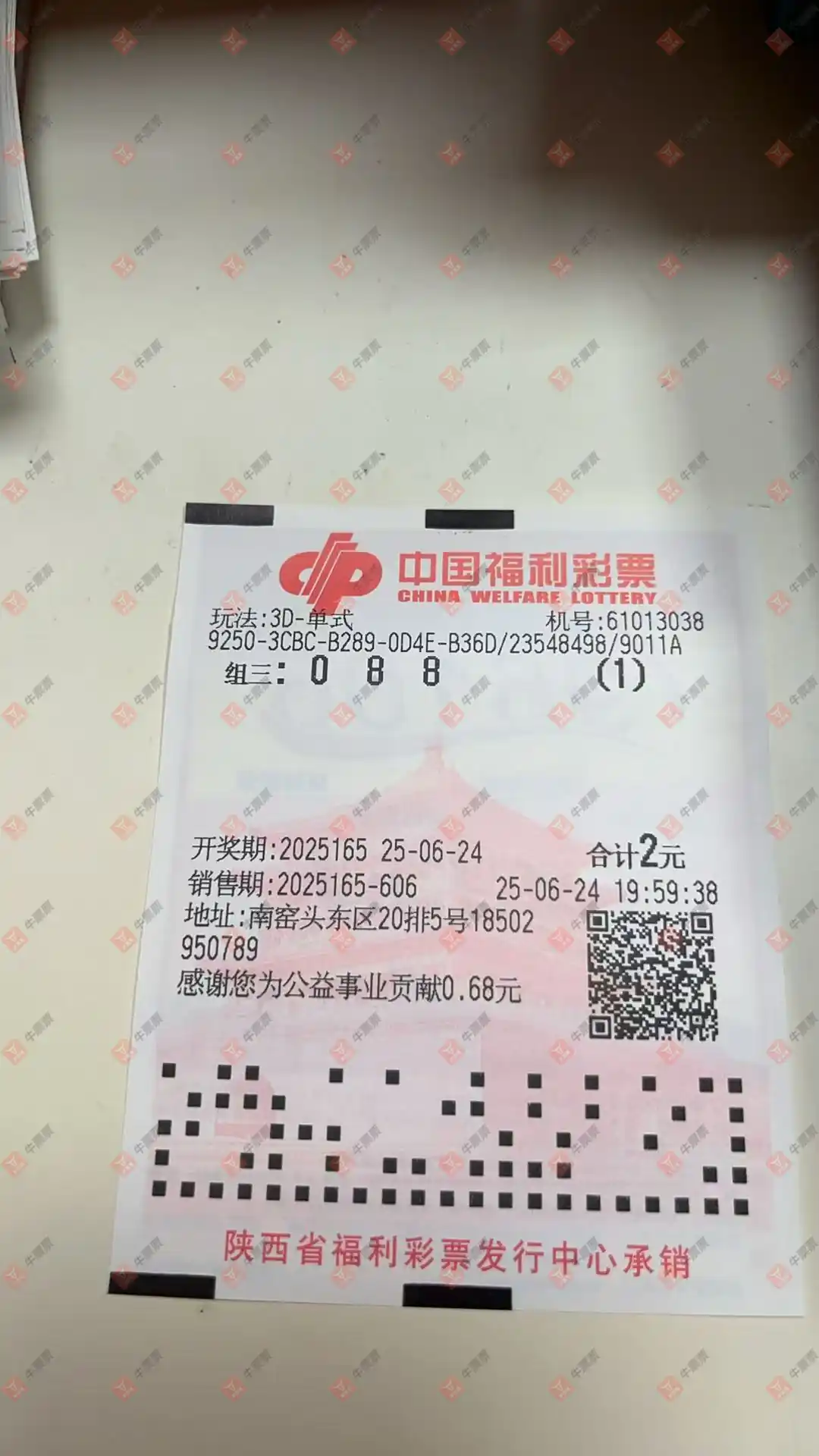 牛票票