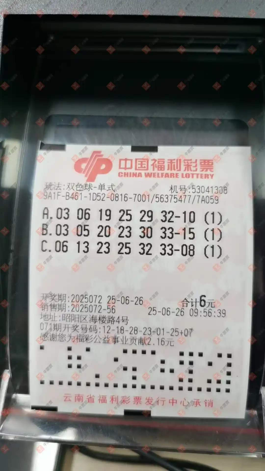 牛票票