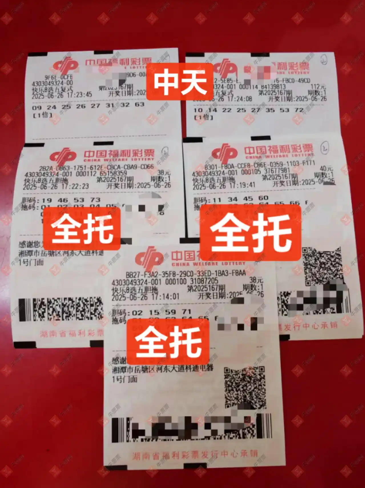 牛票票