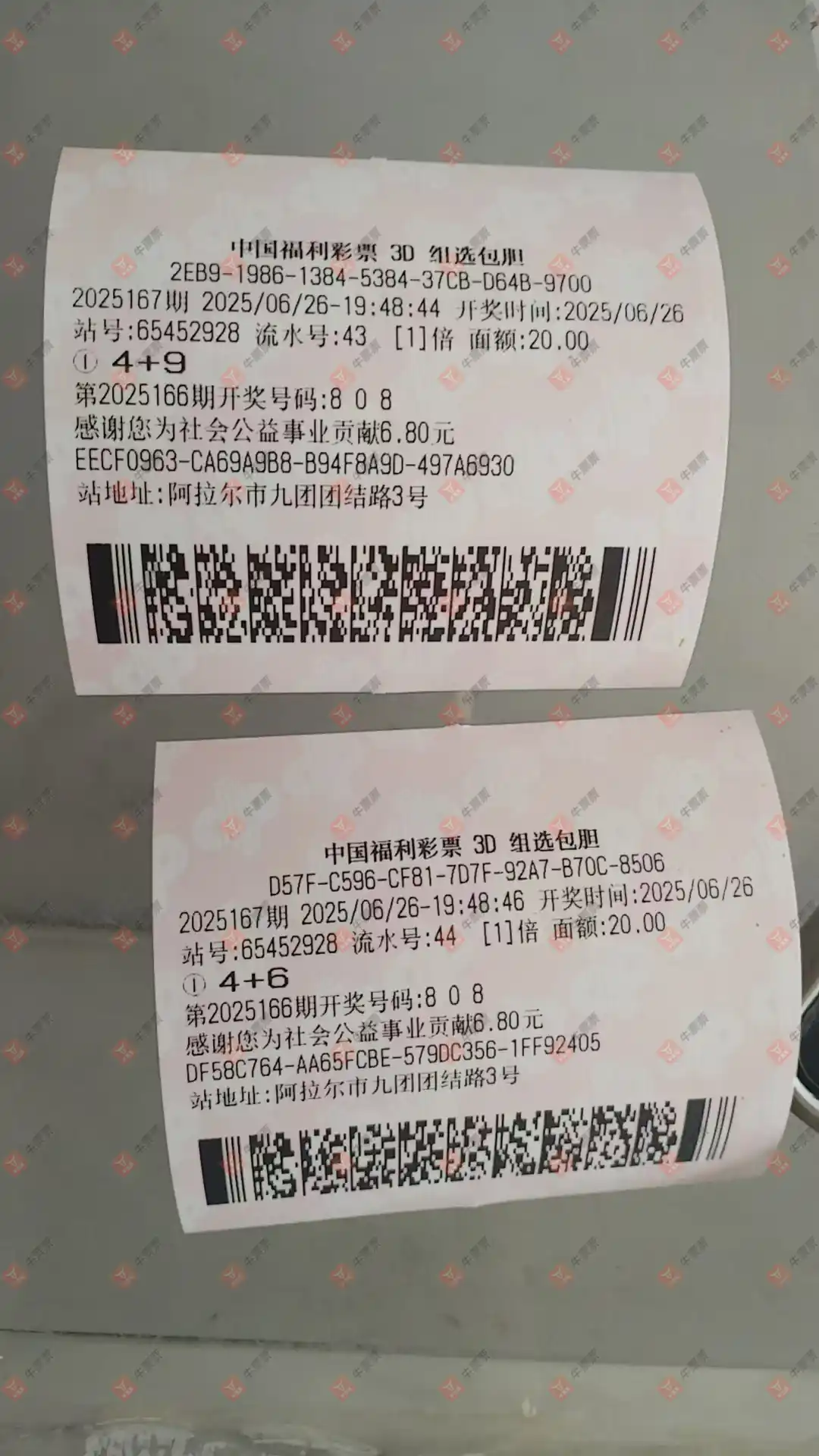 牛票票