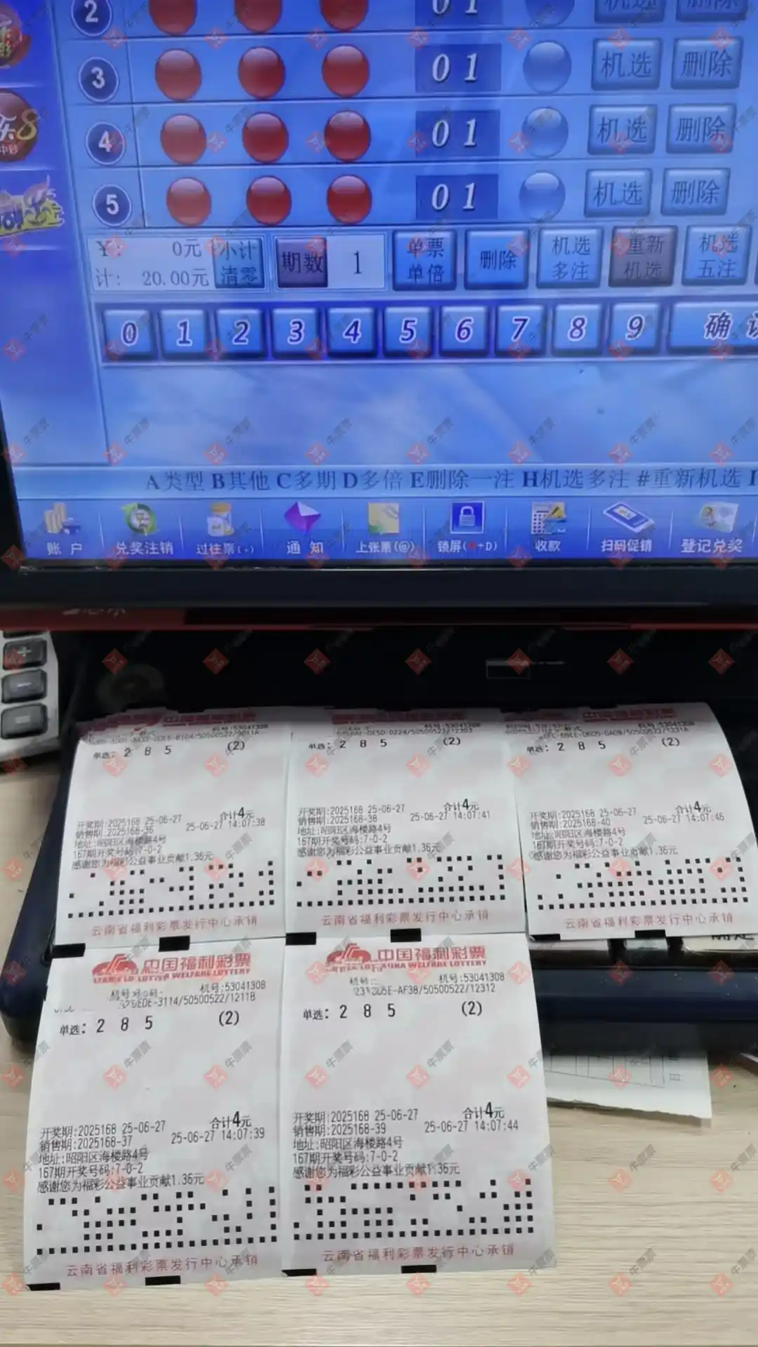 牛票票