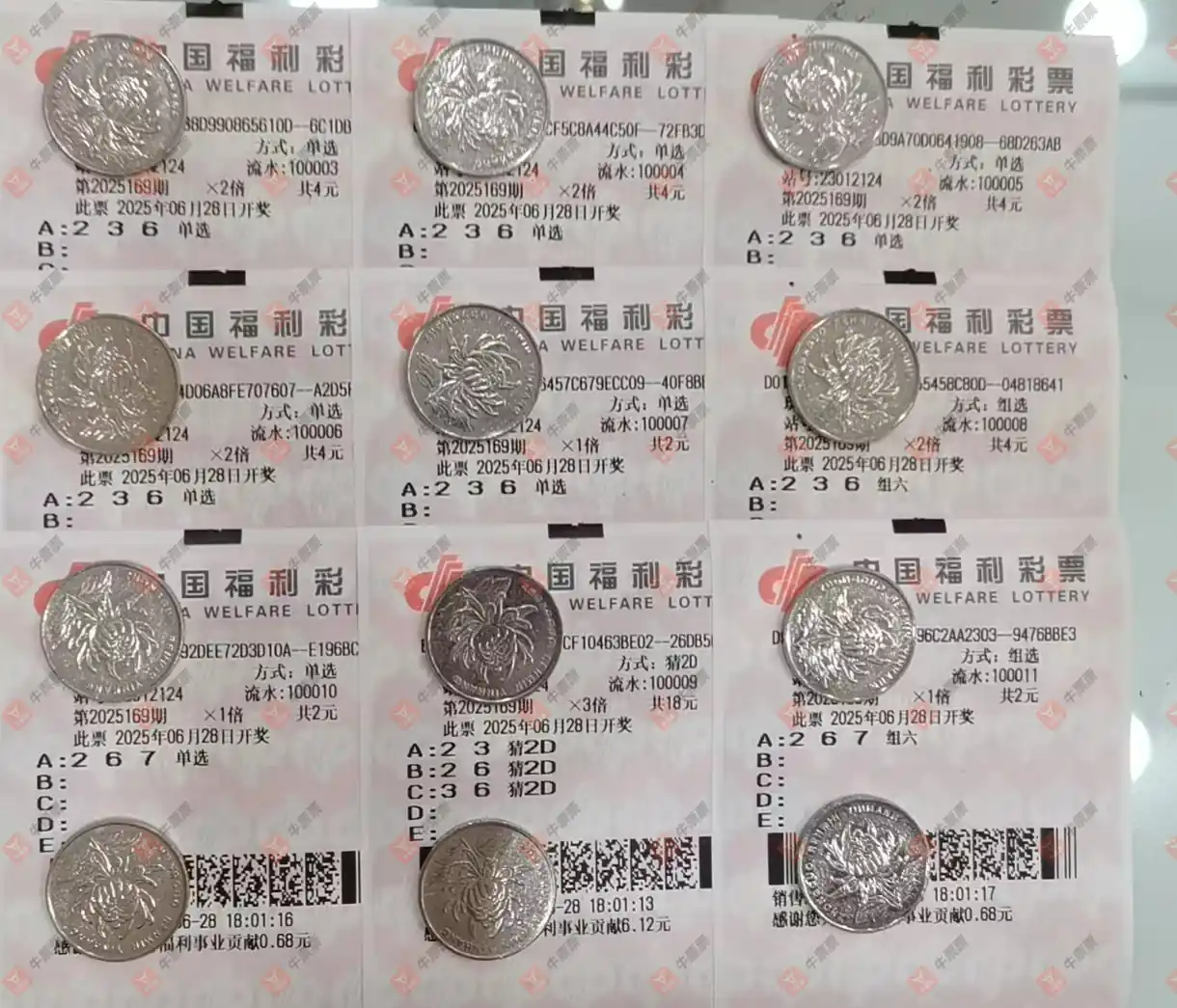 牛票票