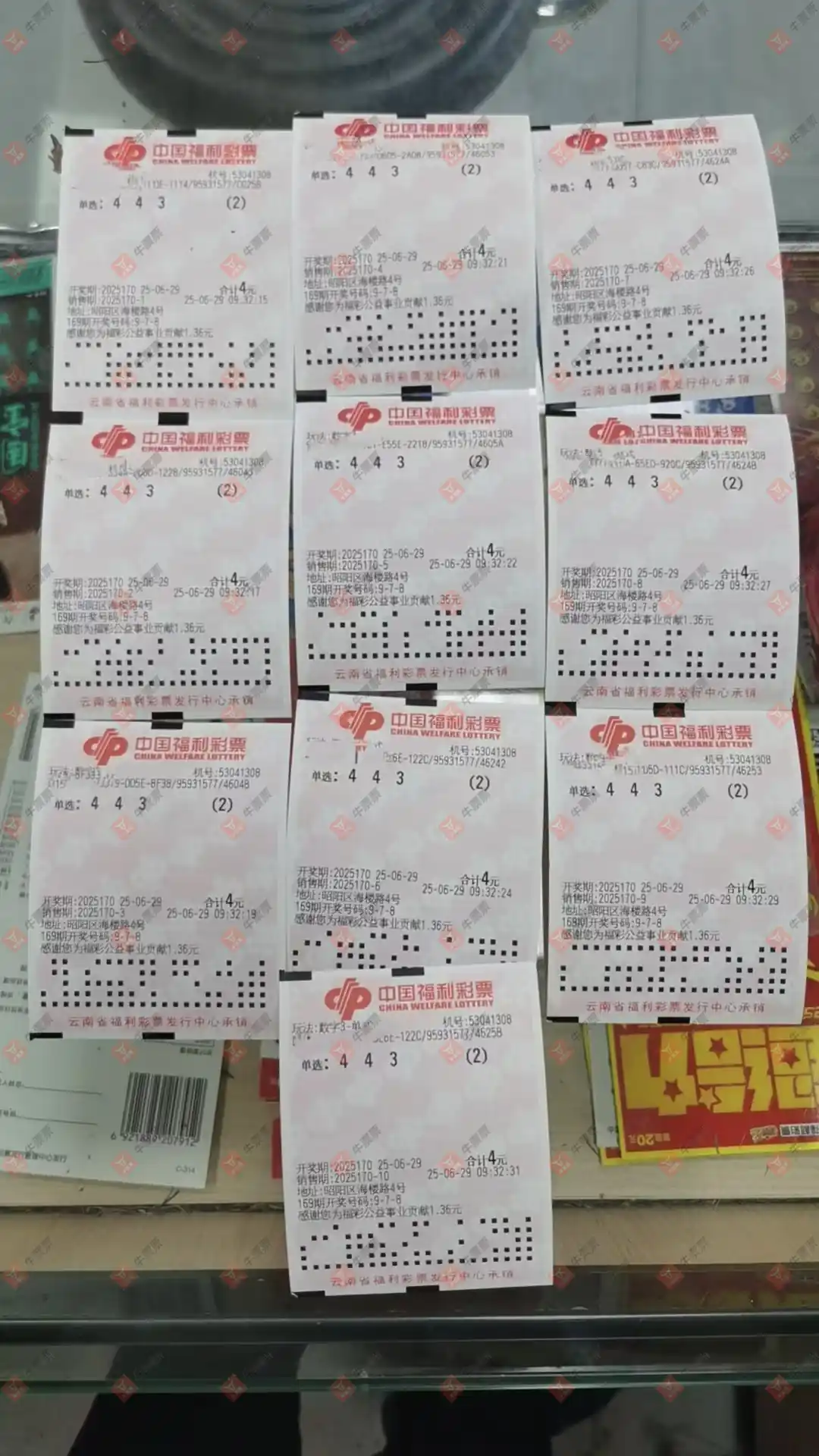 牛票票
