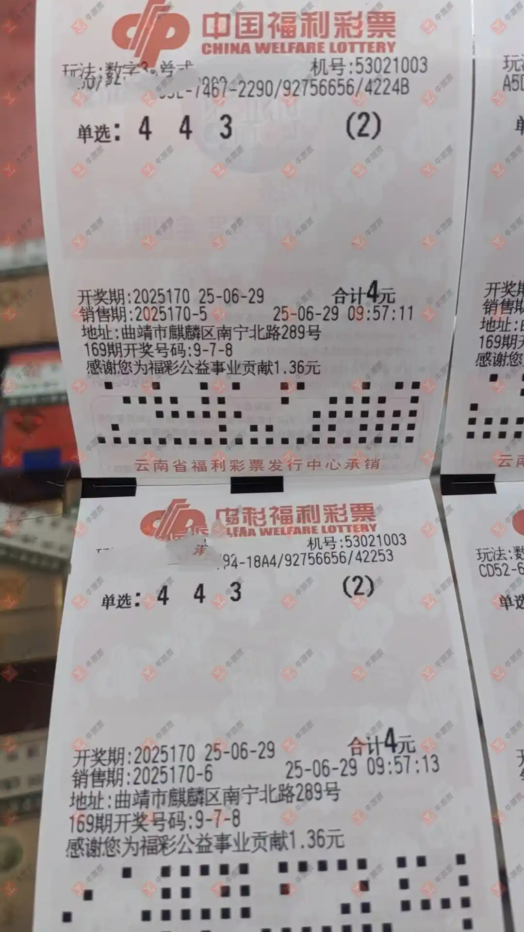牛票票