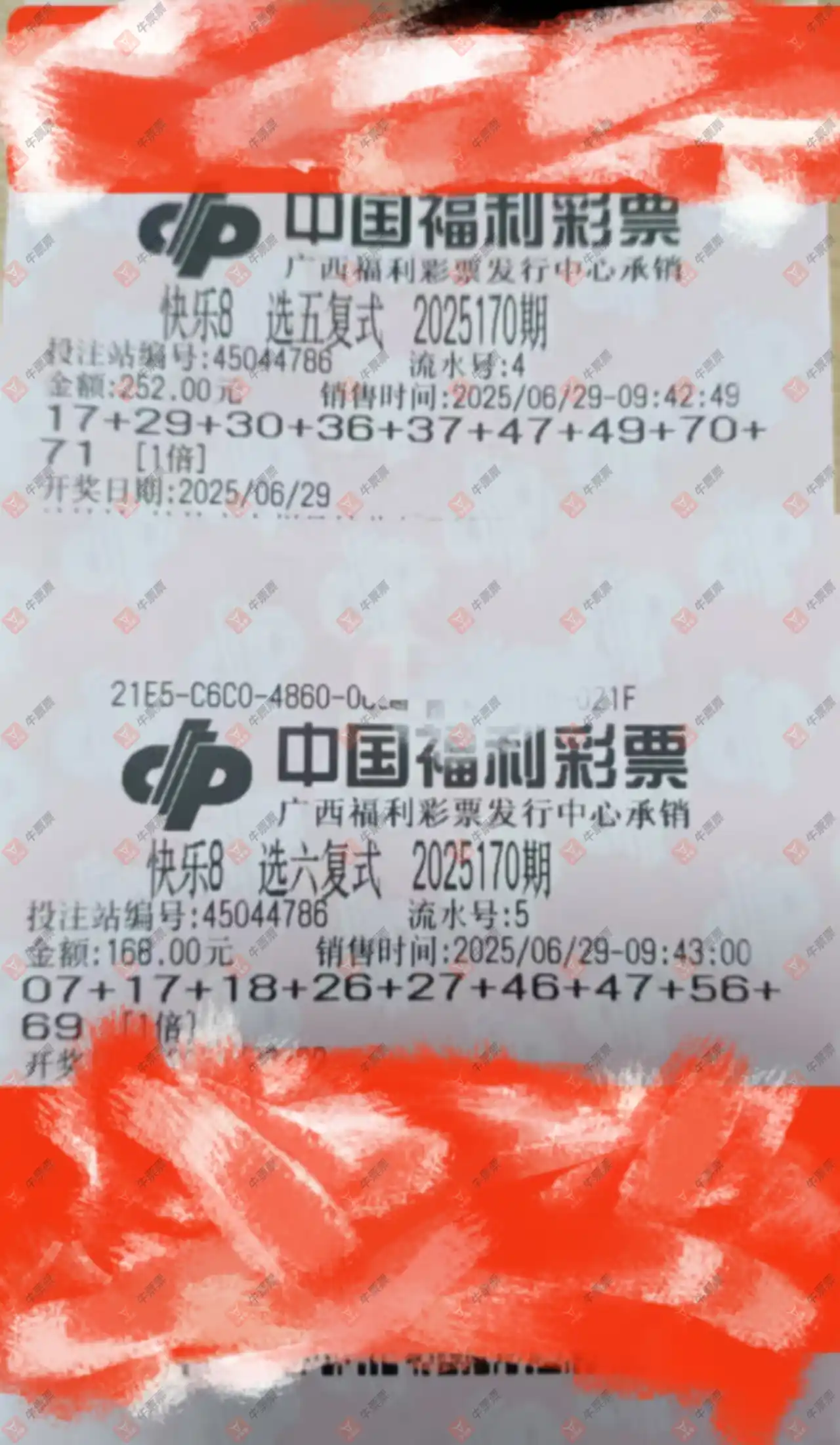牛票票