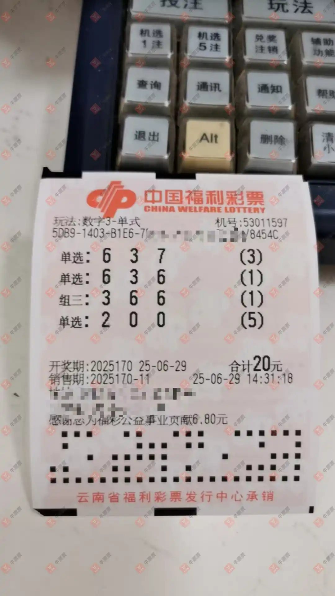 牛票票