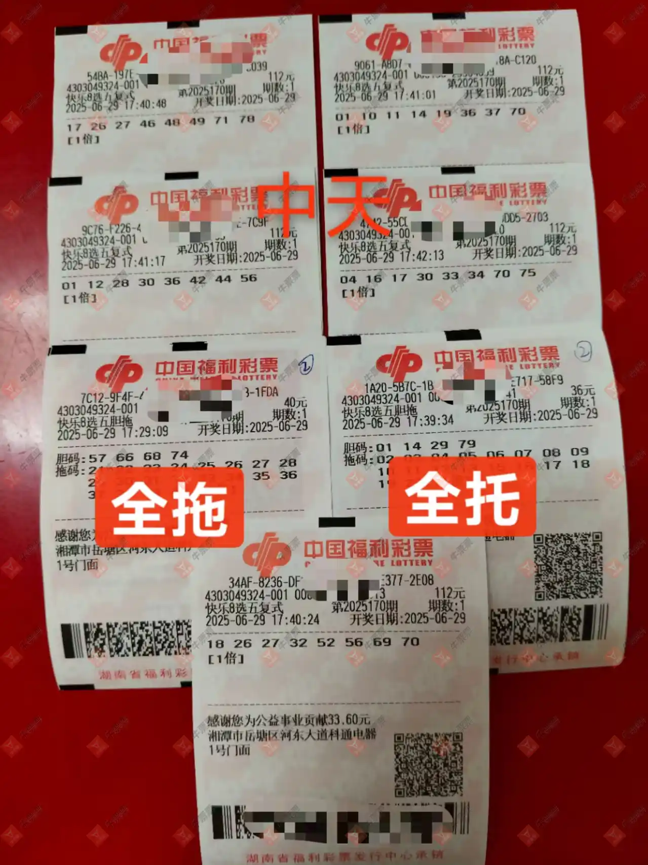 牛票票