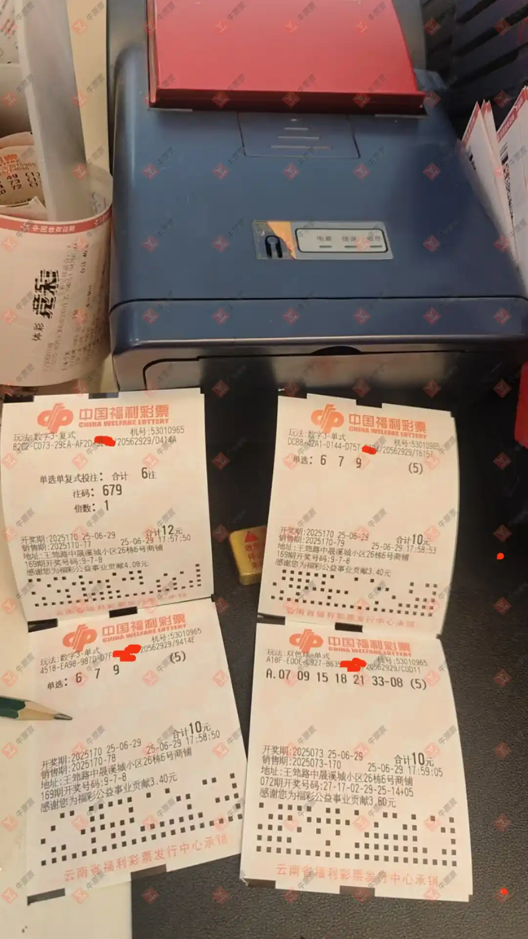 牛票票
