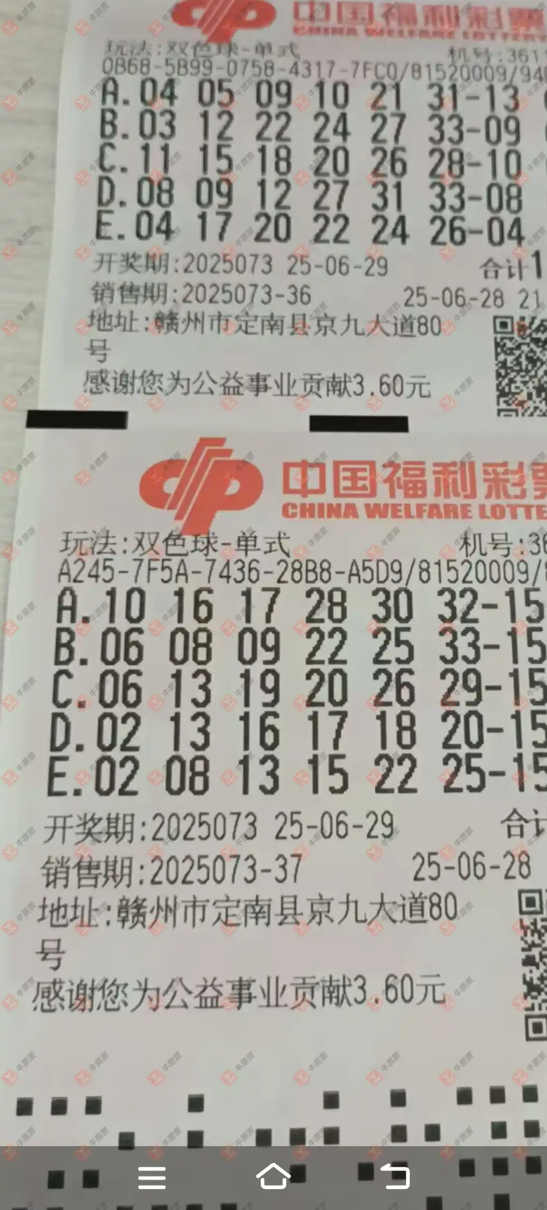 牛票票