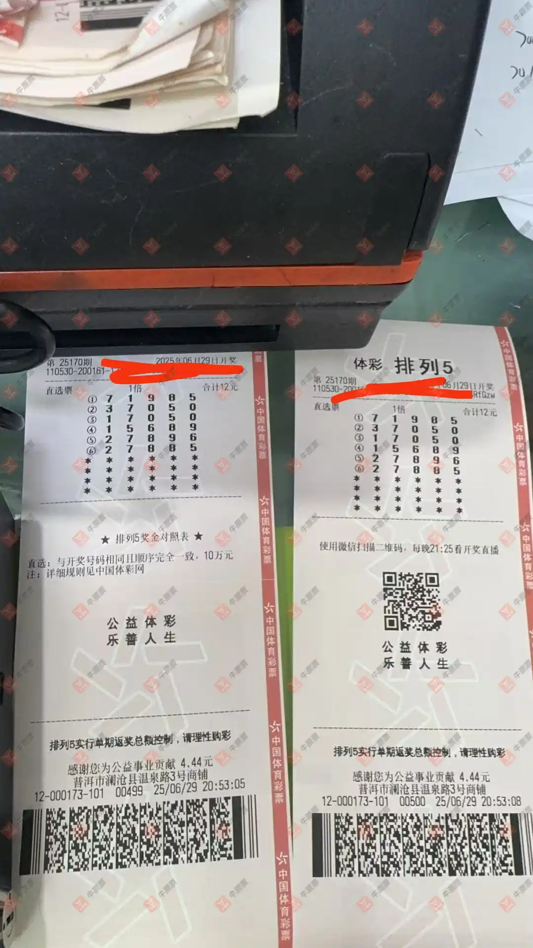 牛票票