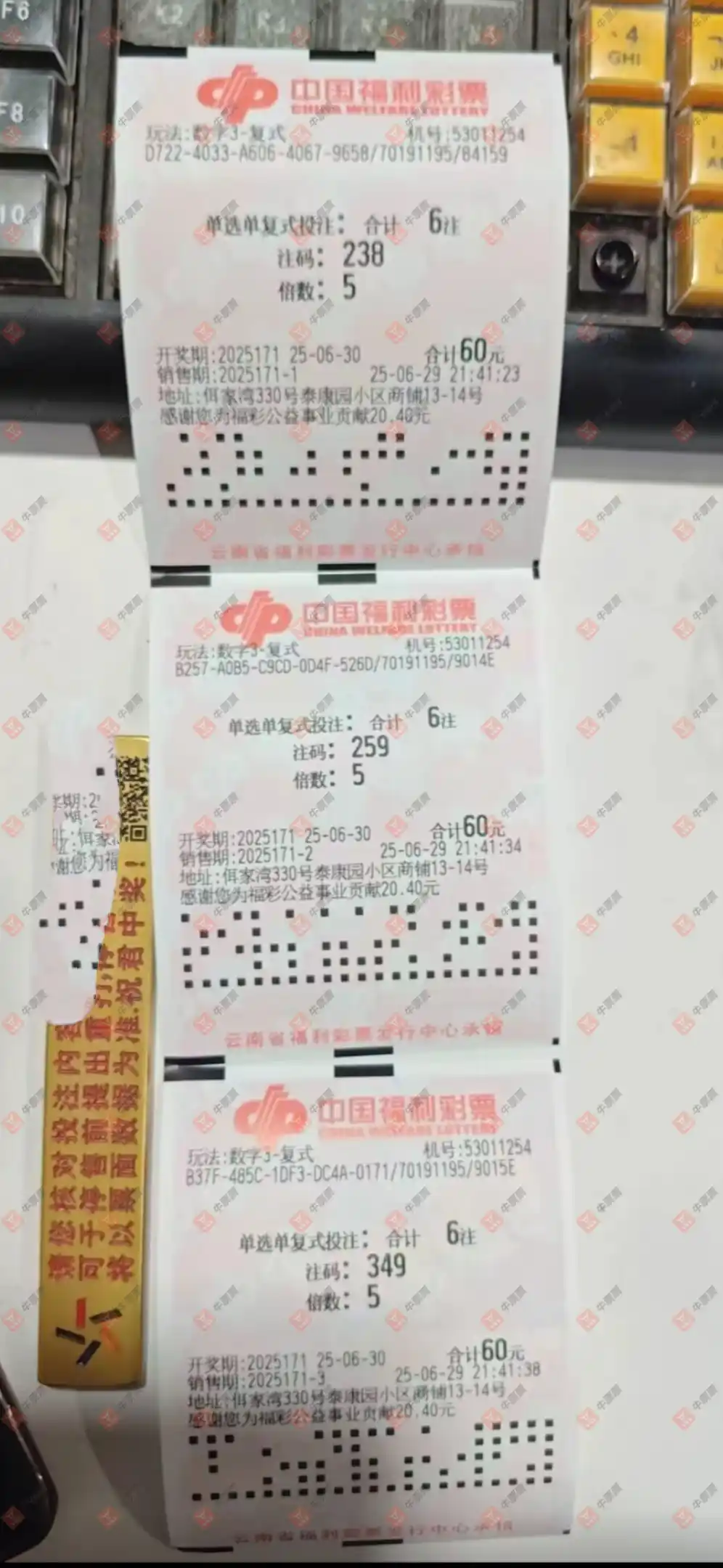 牛票票