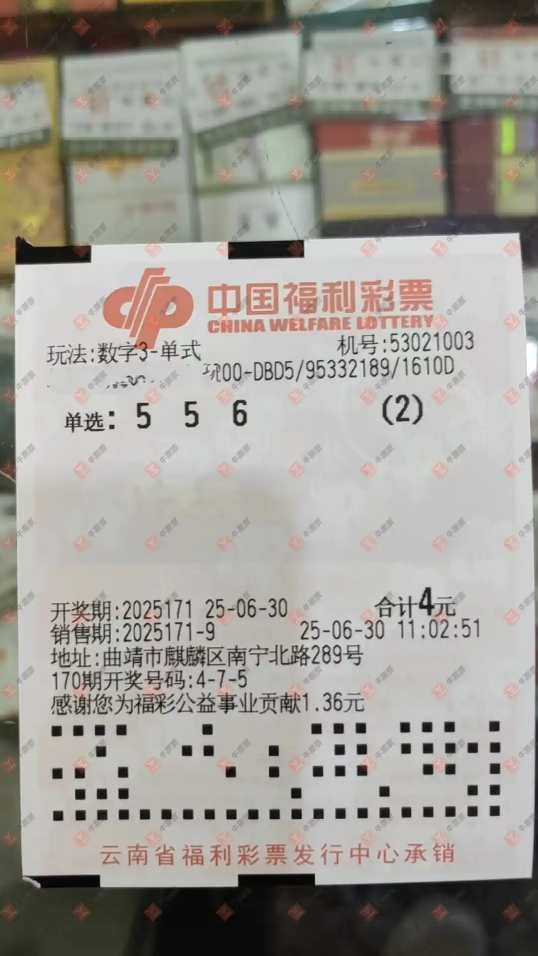 牛票票