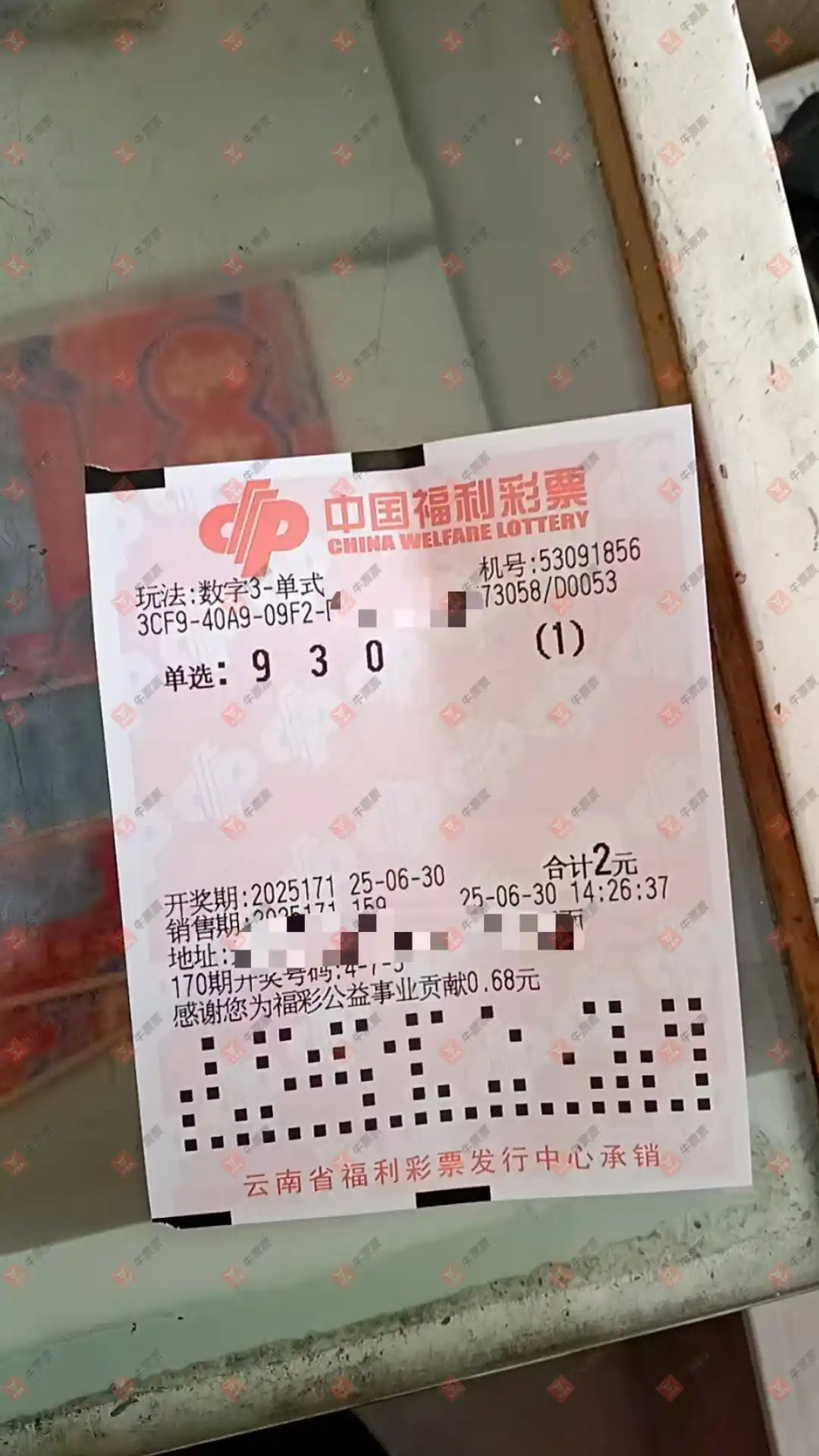 牛票票