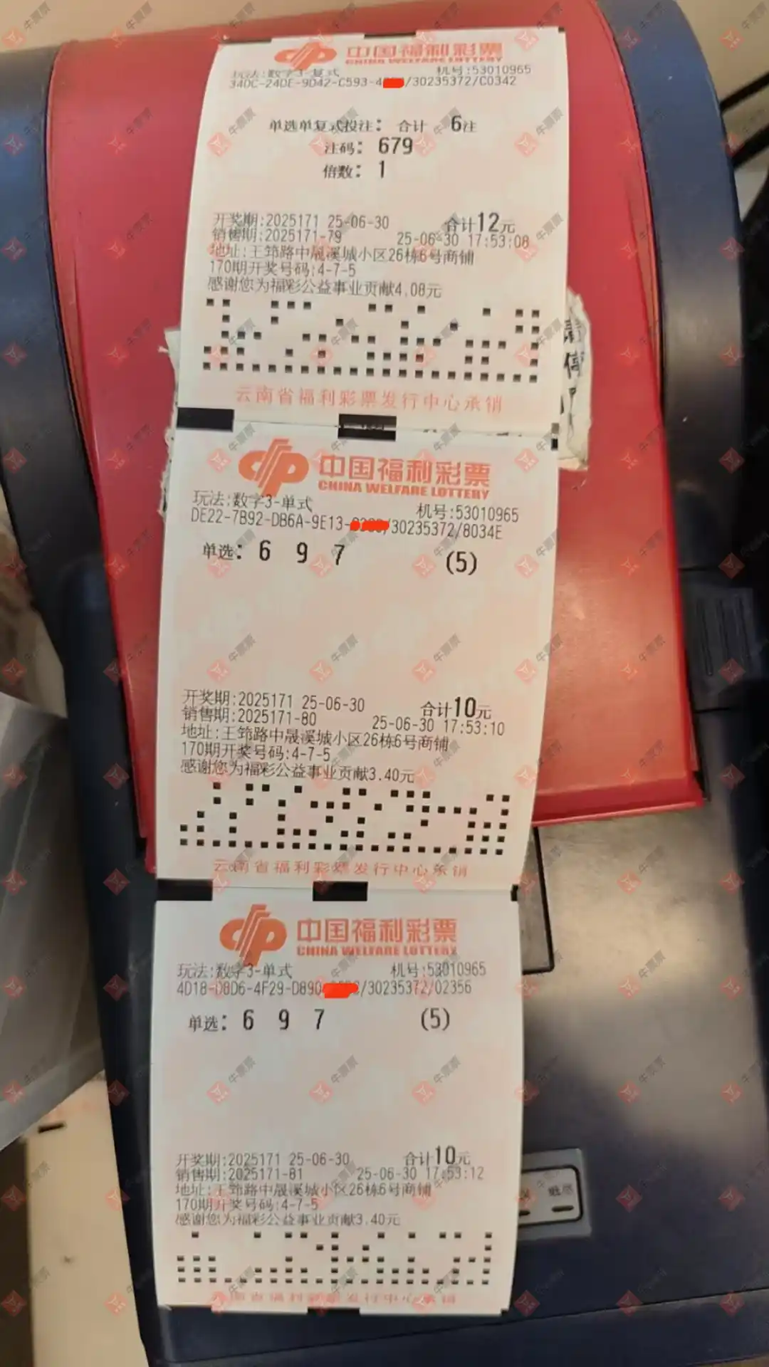 牛票票