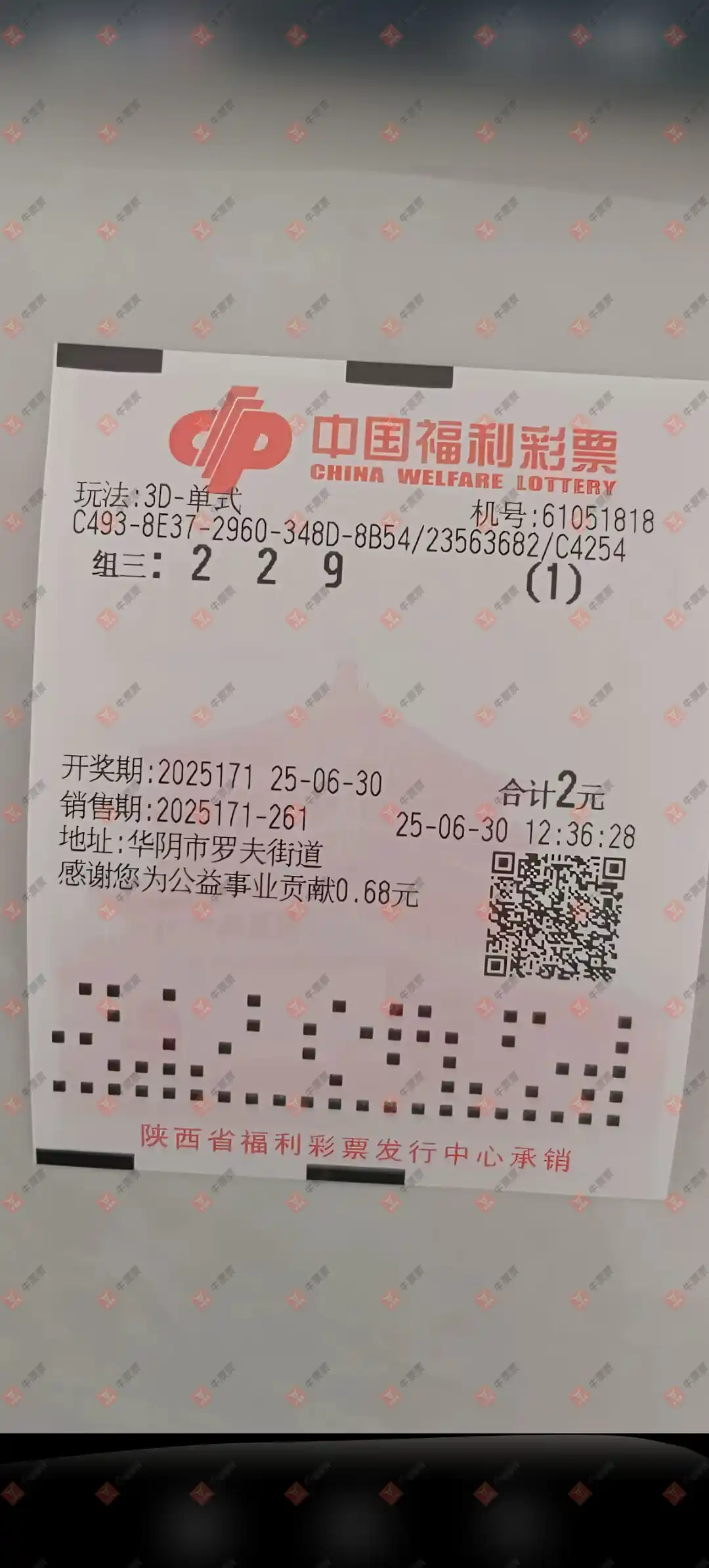牛票票