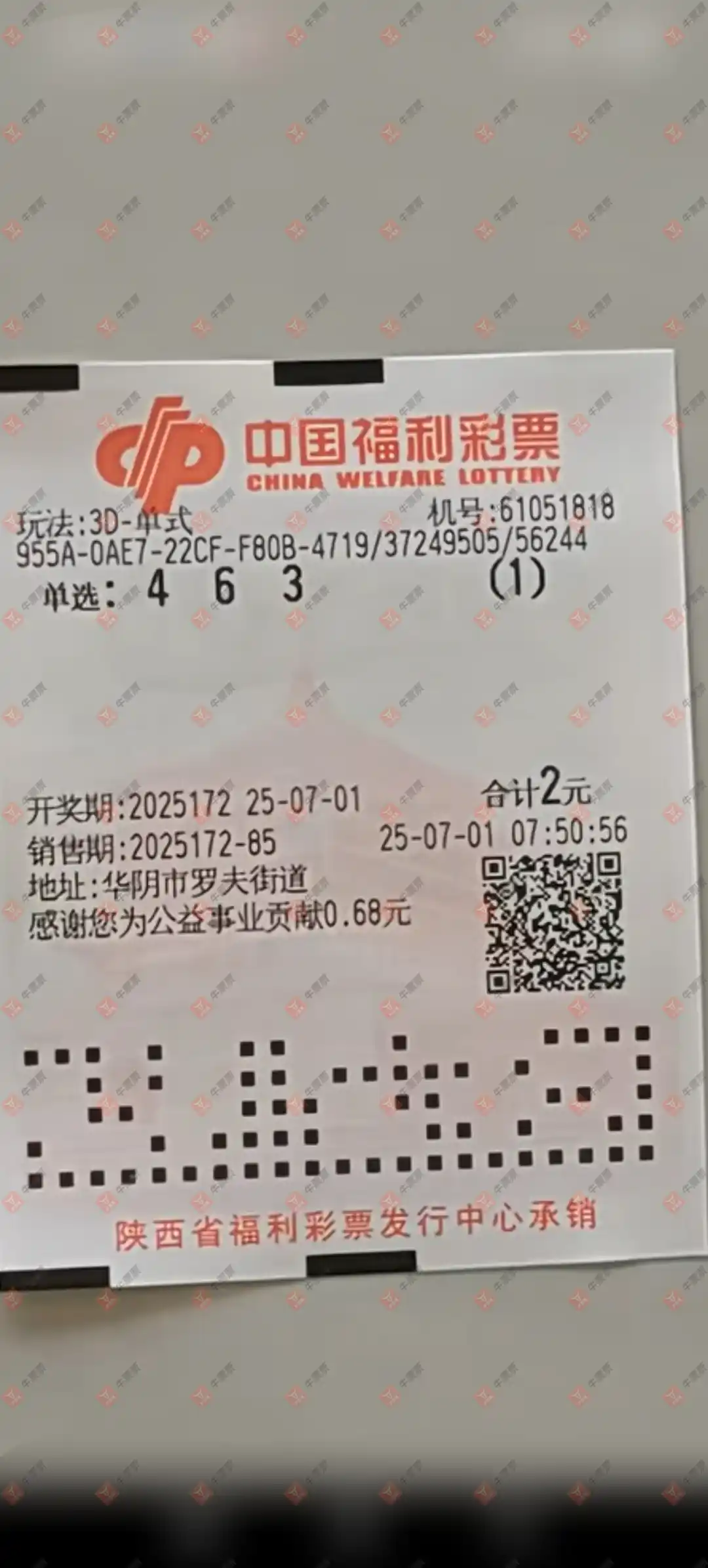 牛票票