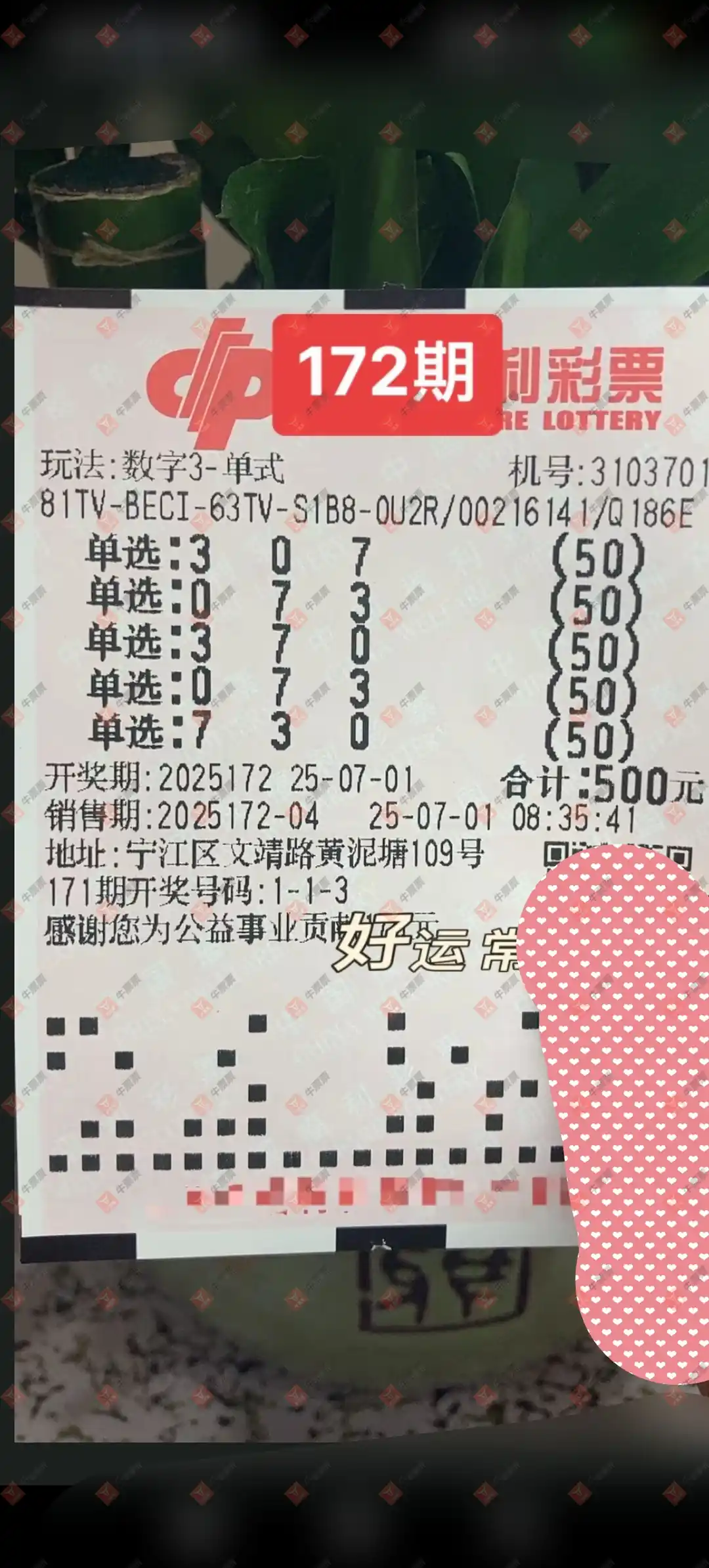 牛票票